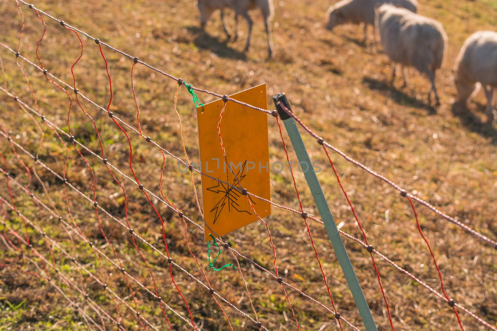Yellow warning sign Caution Electric wicker fence