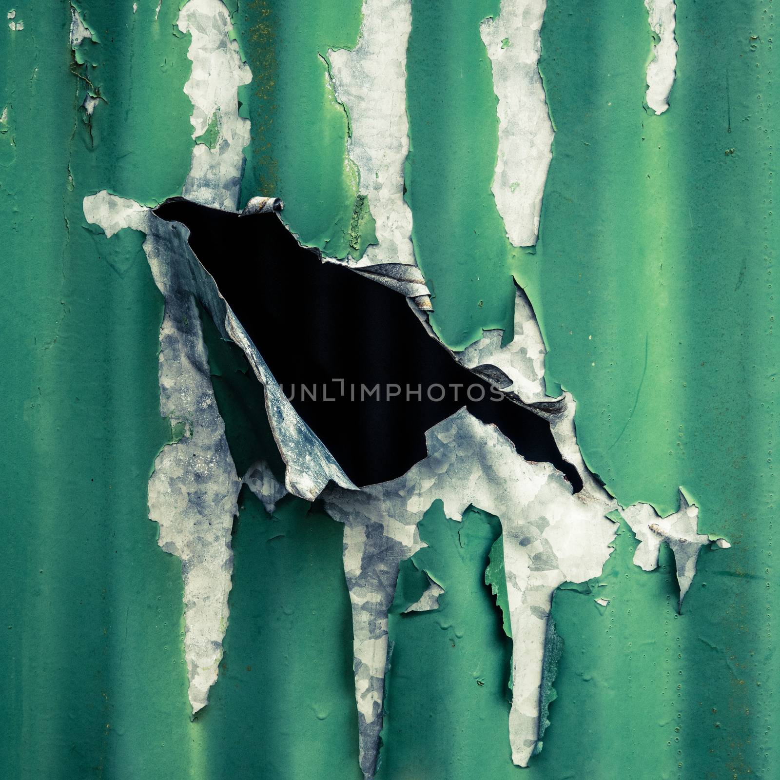 Rustic Detail Of A Large Rip In The Side Of A Corrugated Iron