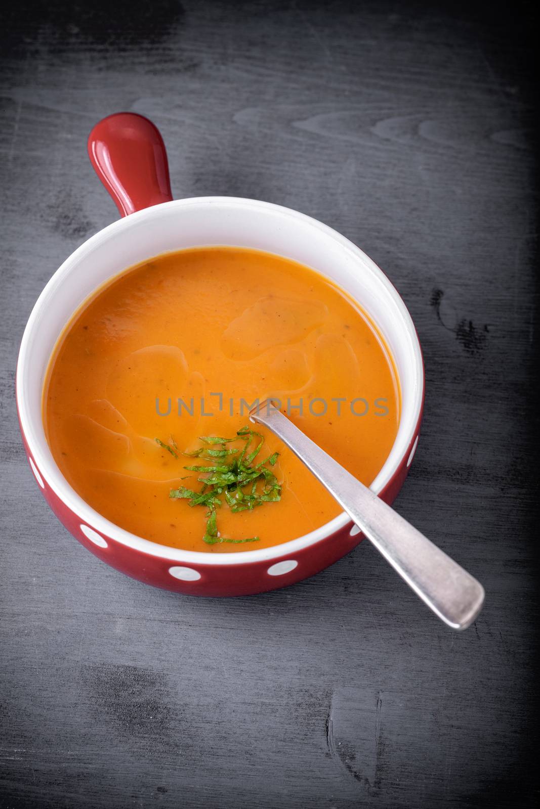 Pumpkin creme soup by supercat67