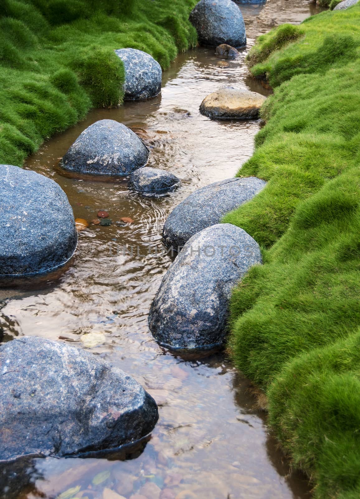Rocks in the creek surrounded by grass.