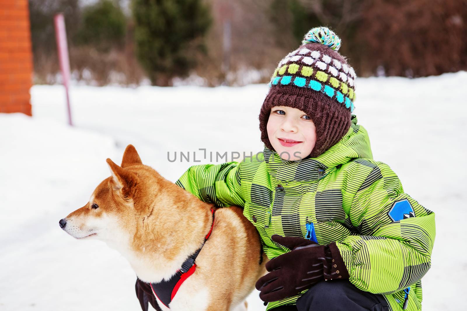 Little kid with Shiba Inu dog outdoors in the winter by natazhekova