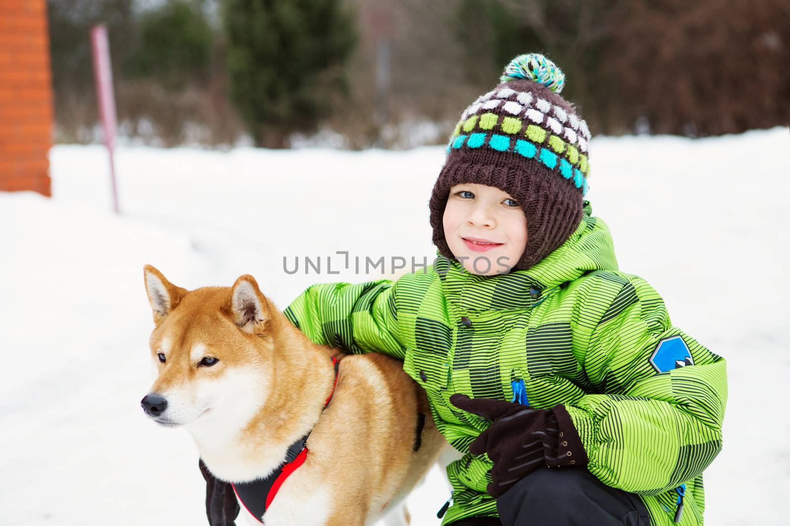 boy with Shiba Inu dog outdoors in the winter by natazhekova