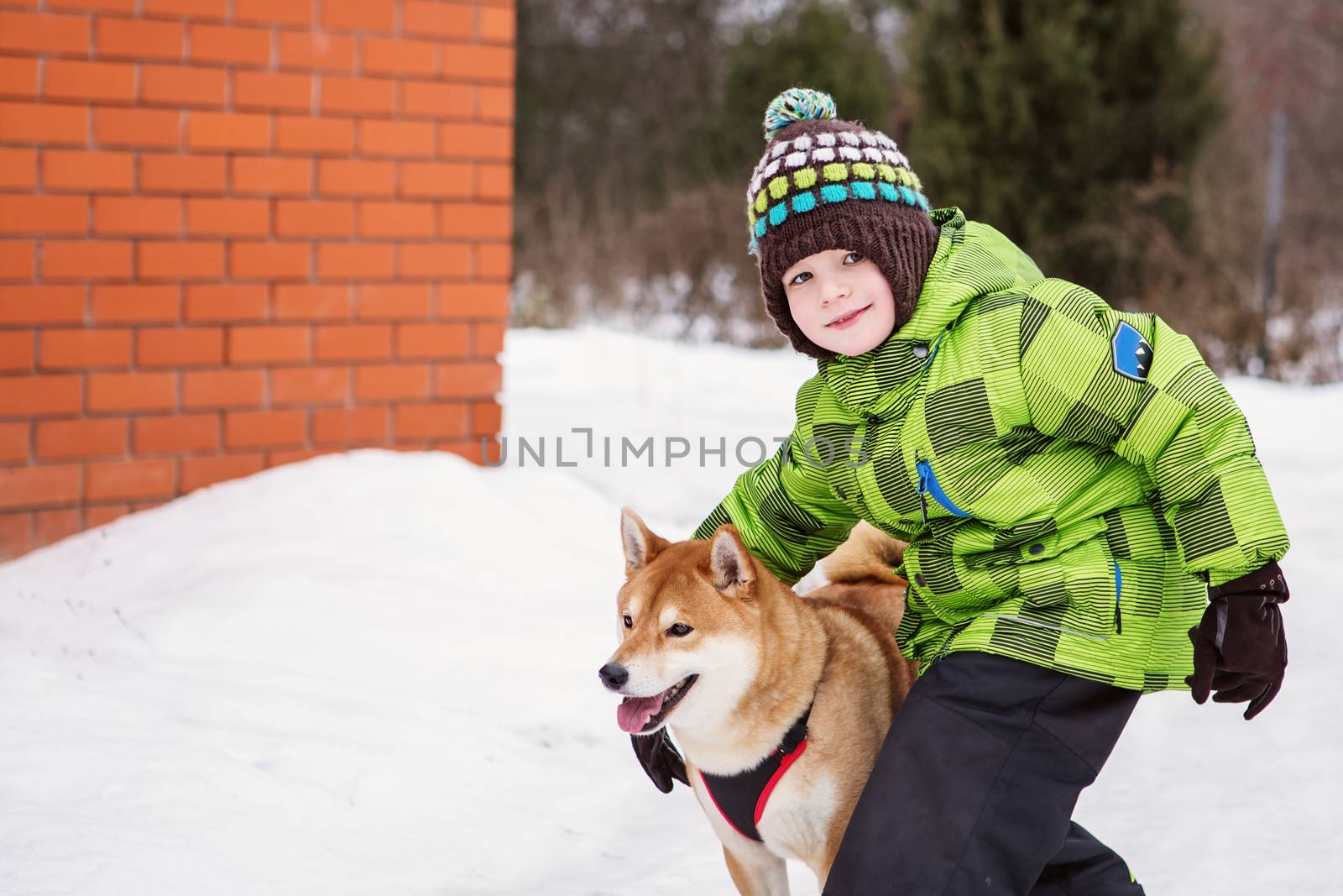 Little boy with Shiba Inu dog outdoors by natazhekova