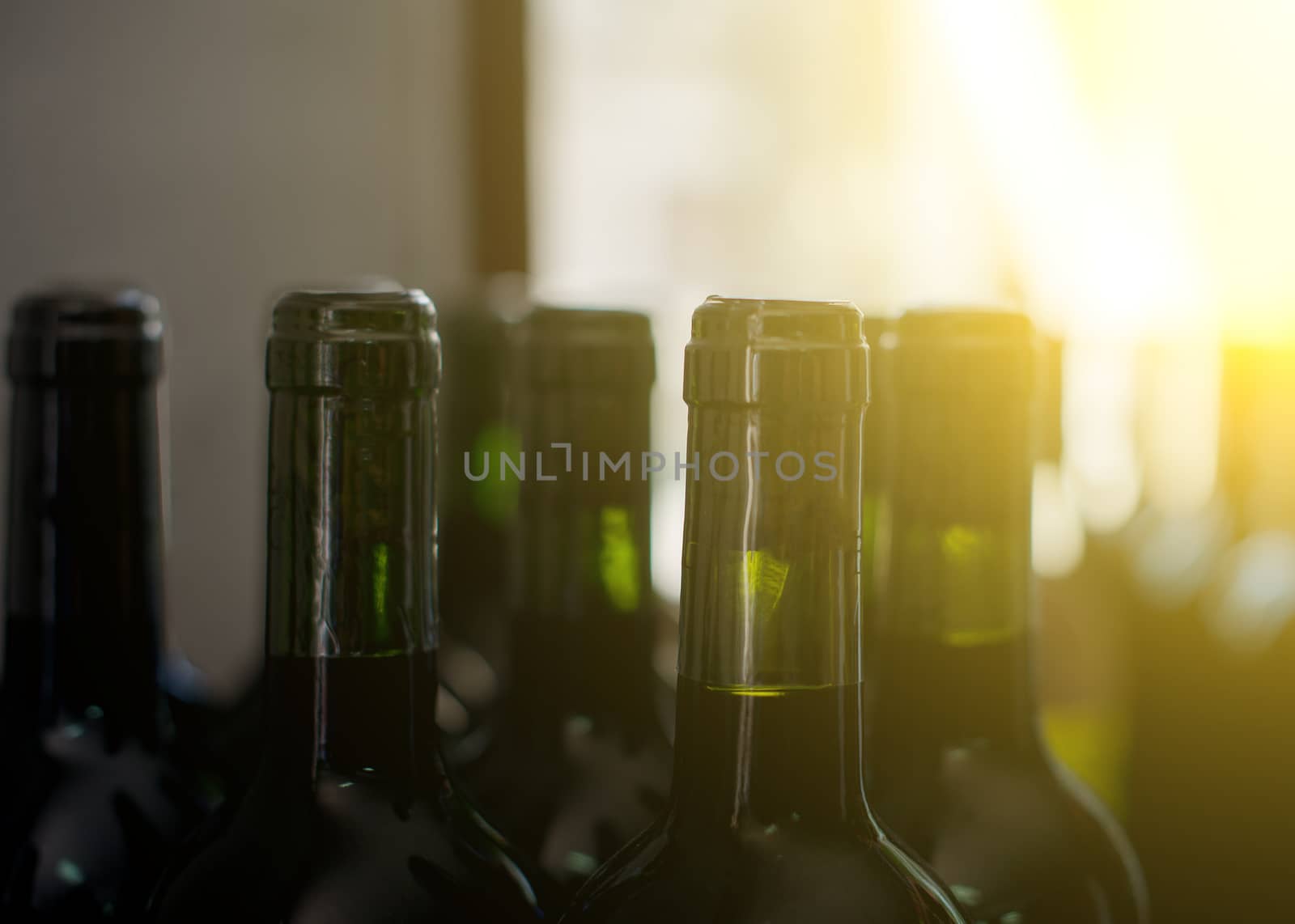 Wine bottles in the wine store. by dmitrimaruta