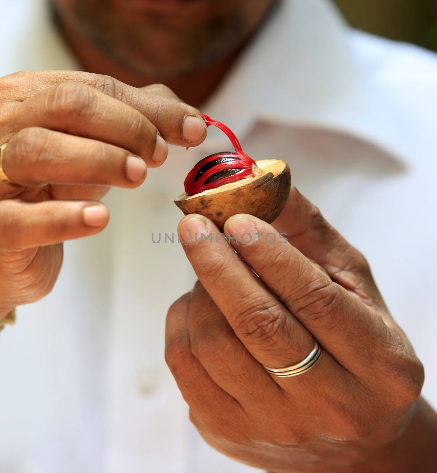 Fingers each hold half of an open Nutmeg with seed showing