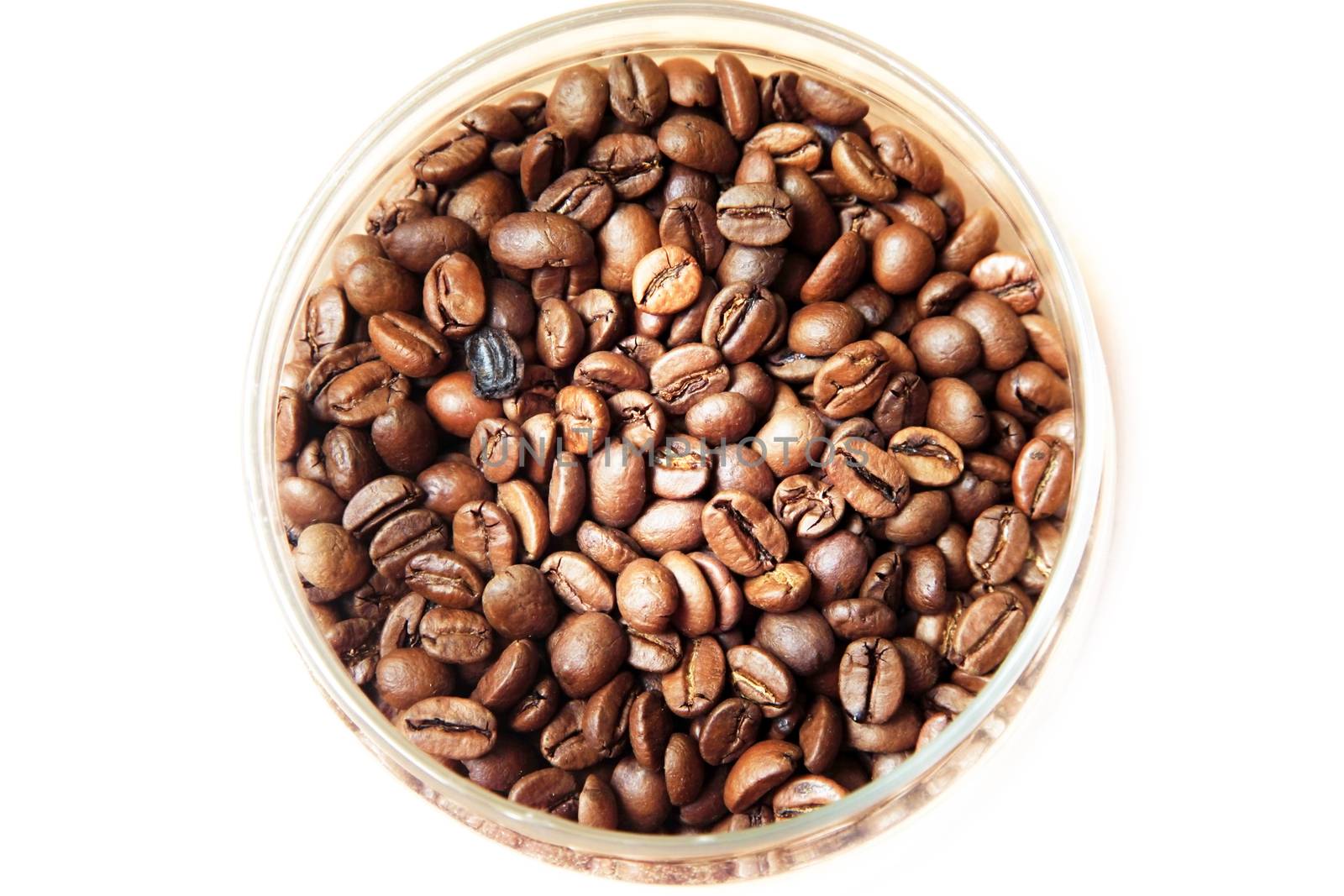 Coffee beans in studio shot close-up