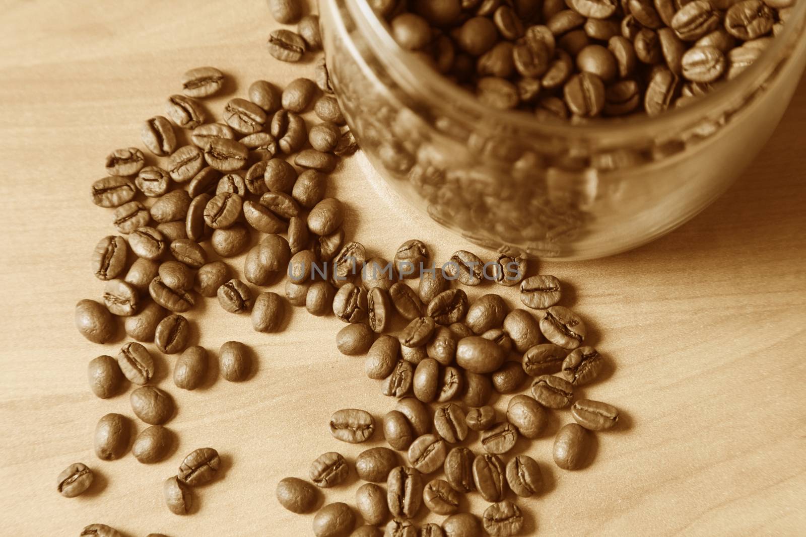 Coffee beans in studio shot close-up