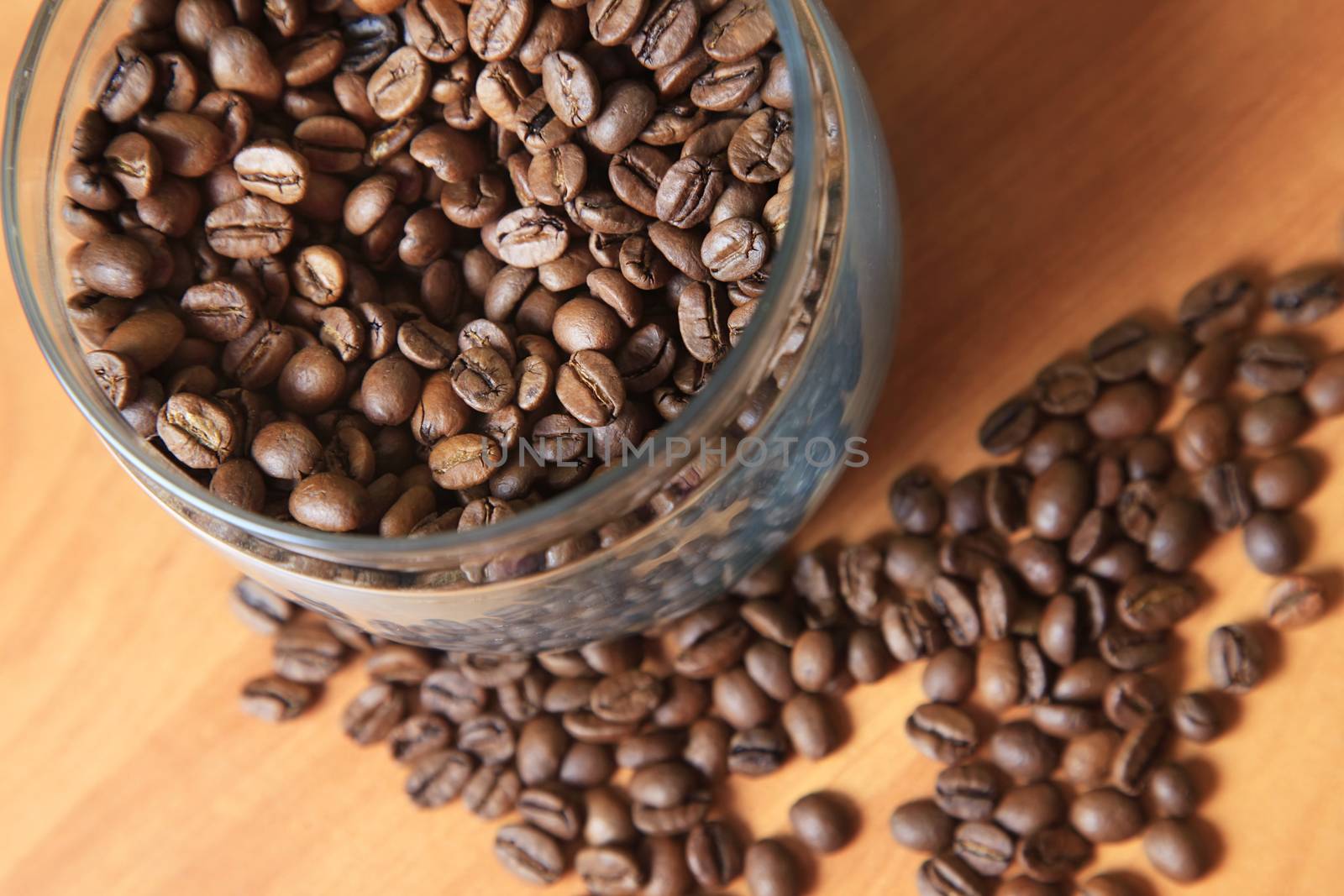 Coffee beans in studio shot close-up