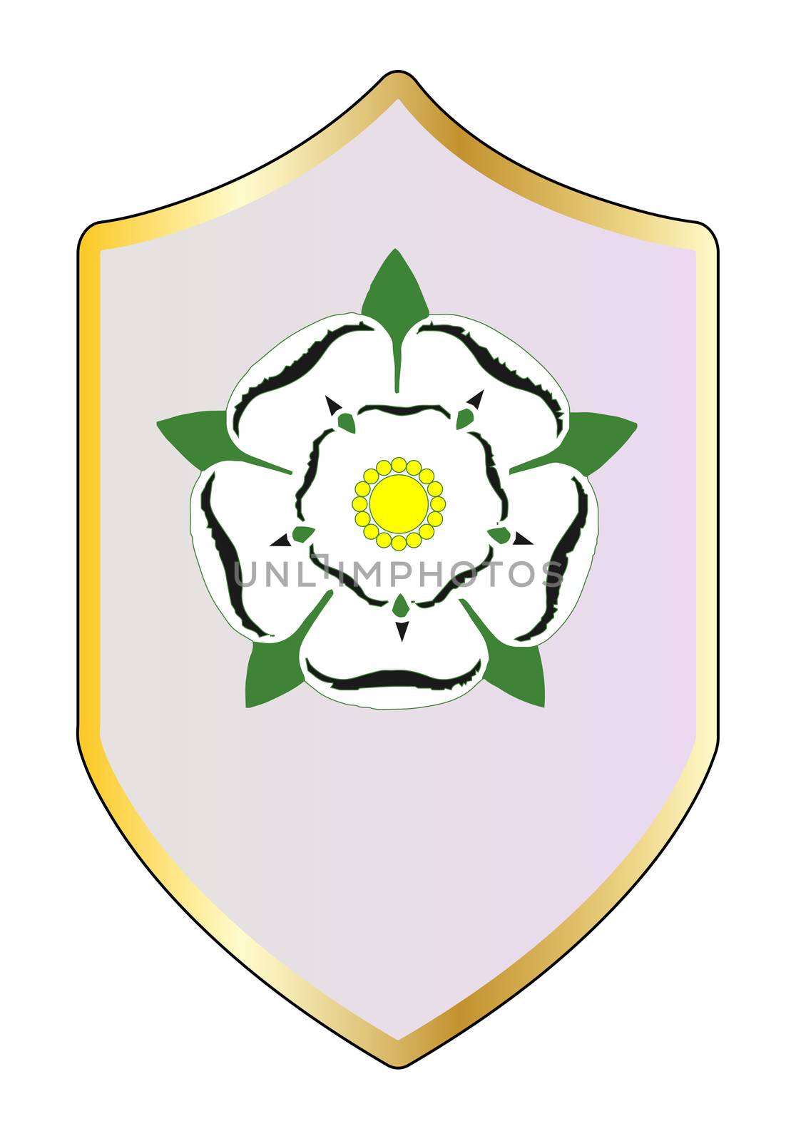 The shield and emblem of the York side in the War of the Roses
