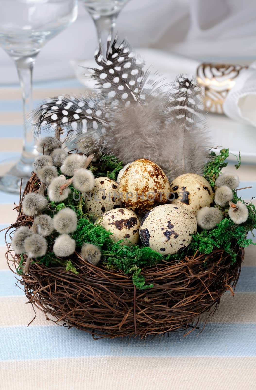 Quail eggs in a nest with green moss, pussy-willow branches and feathers on the table for Easter