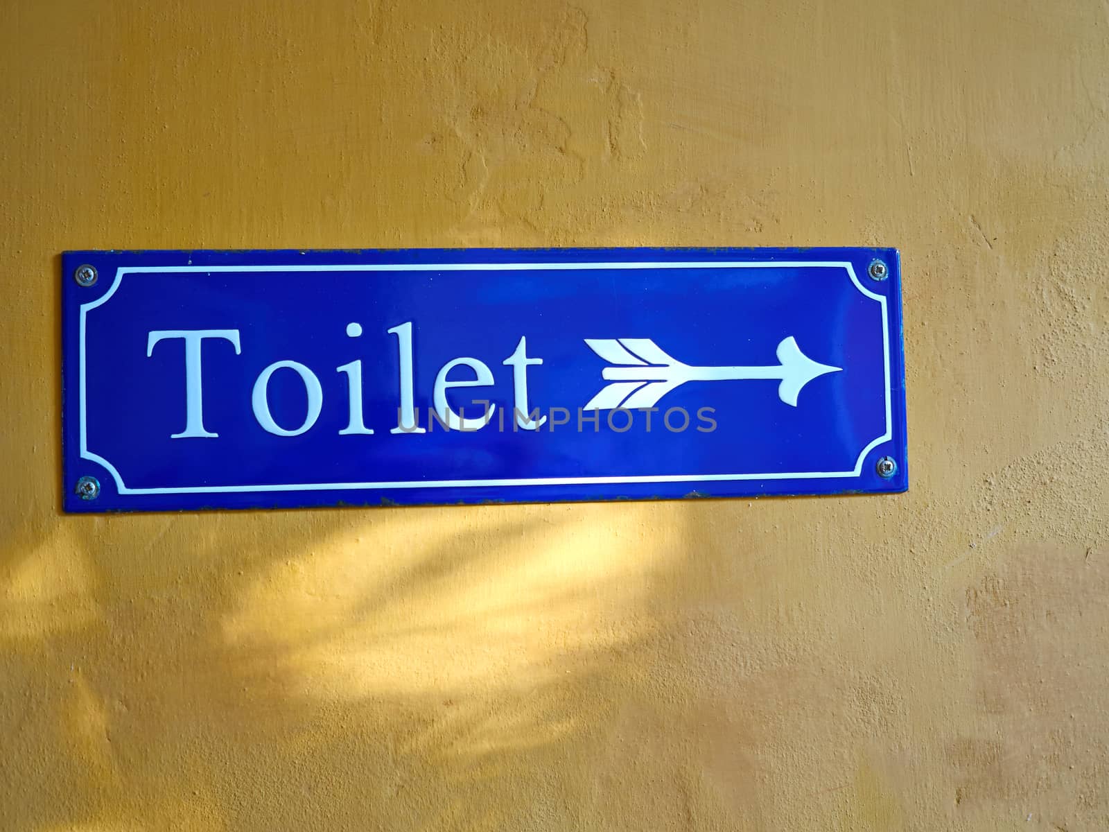 Old vintage classical style sign of public WC toilet   