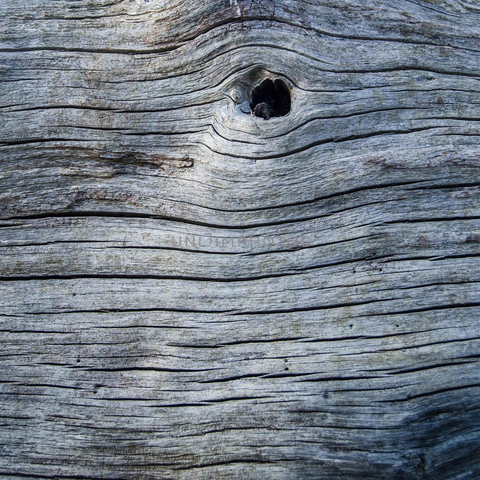 Wood Texture With Knot by mrdoomits