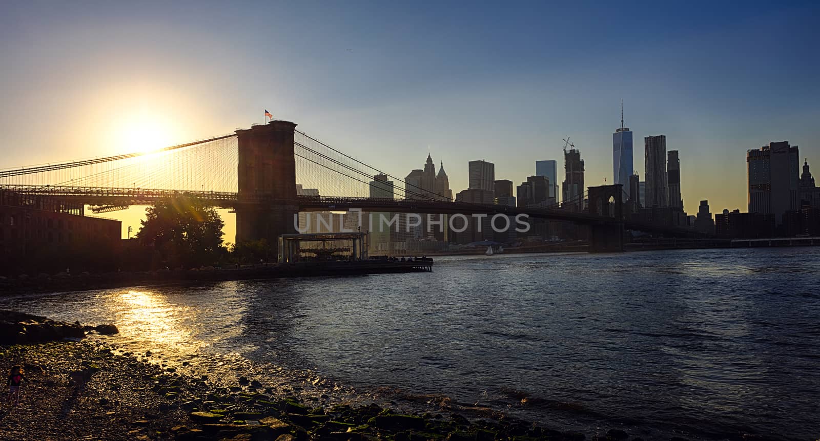 New York Brooklyn Bridge and Downtown by hanusst