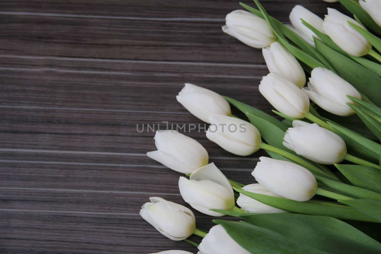 A large bouquet of white tulips with green leaves