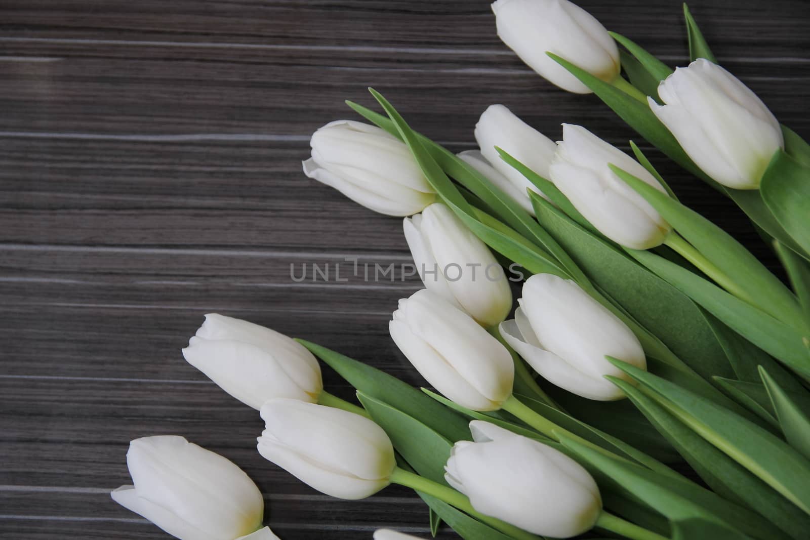 A large bouquet of white tulips with green leaves