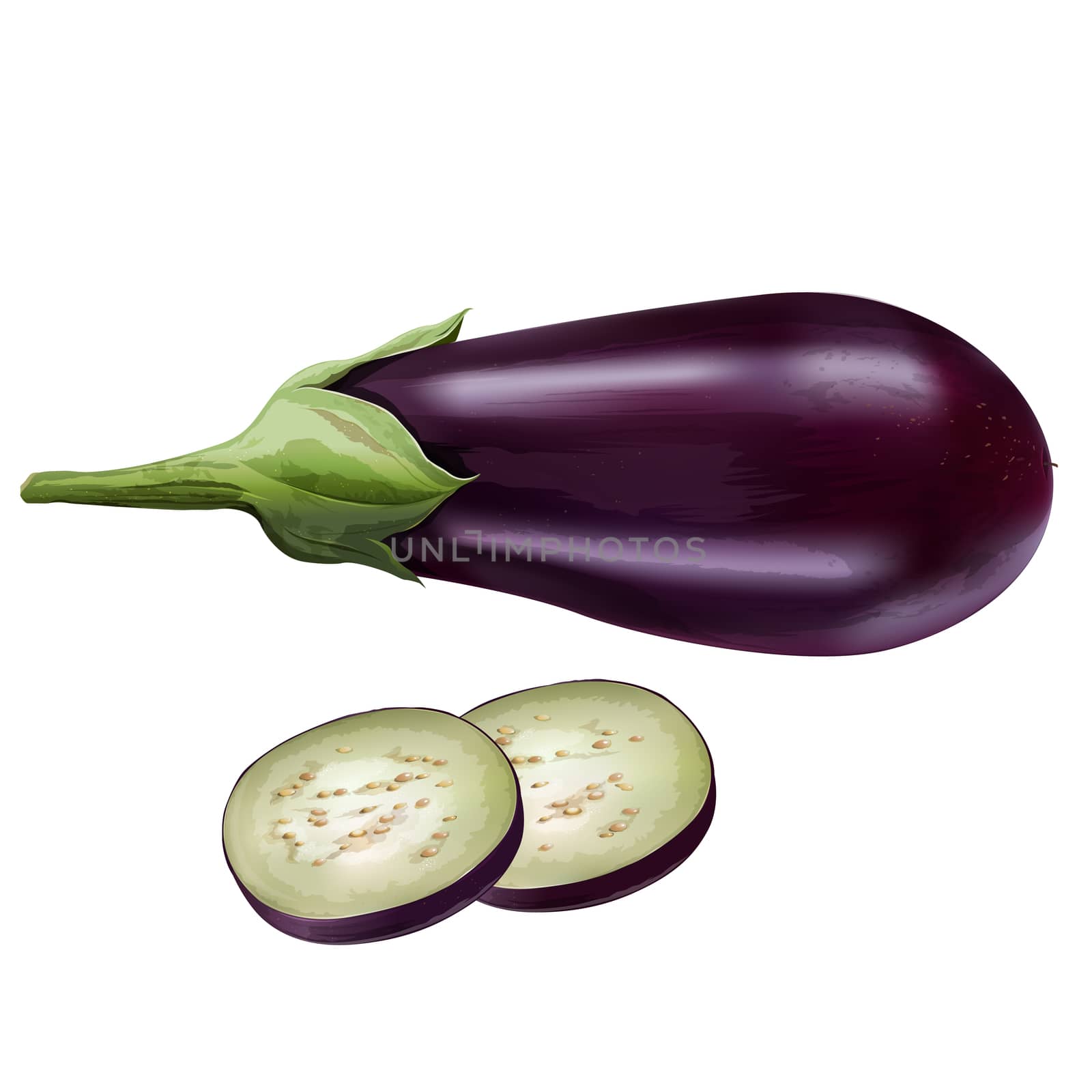 Eggplant on white background by ConceptCafe