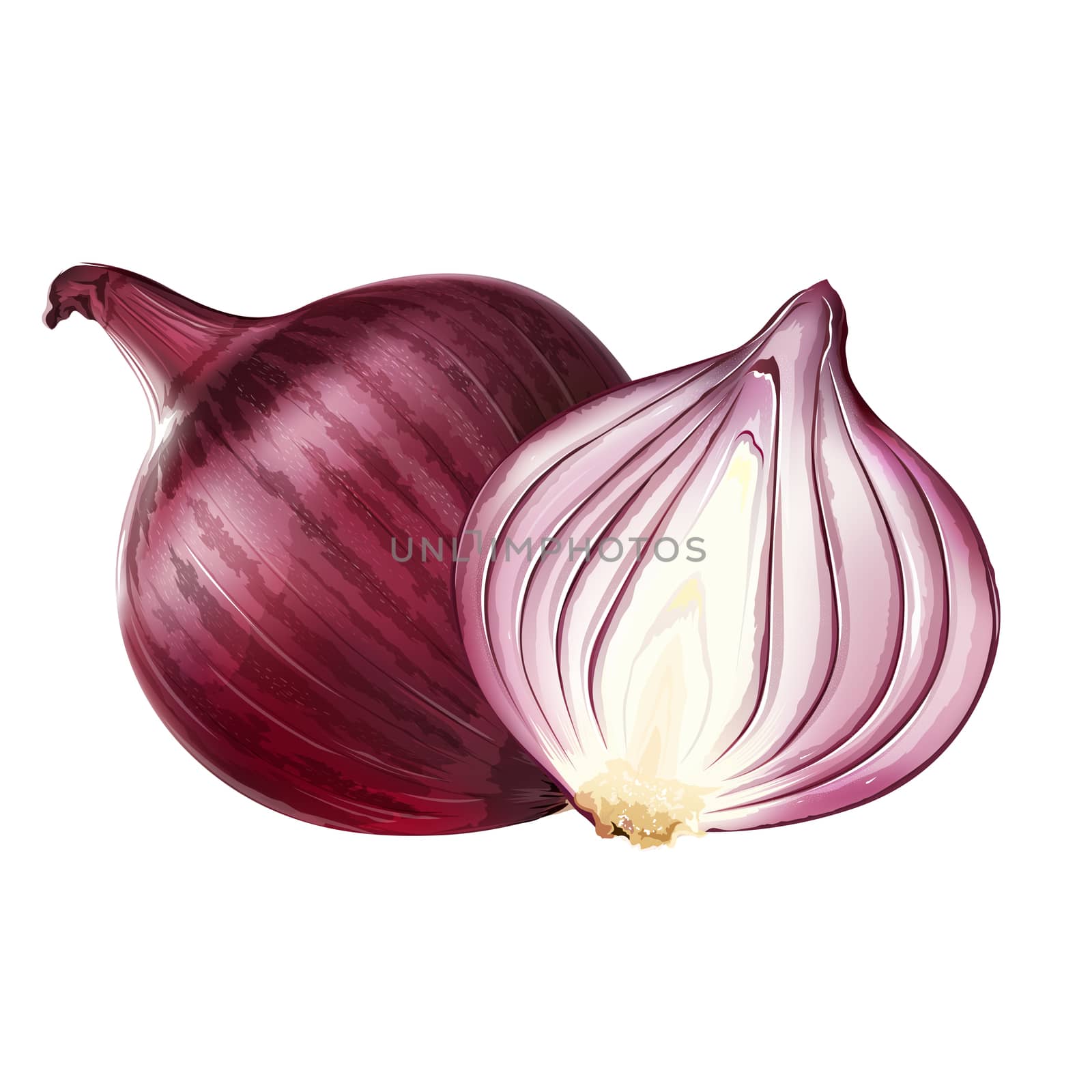 Red onion on white background by ConceptCafe