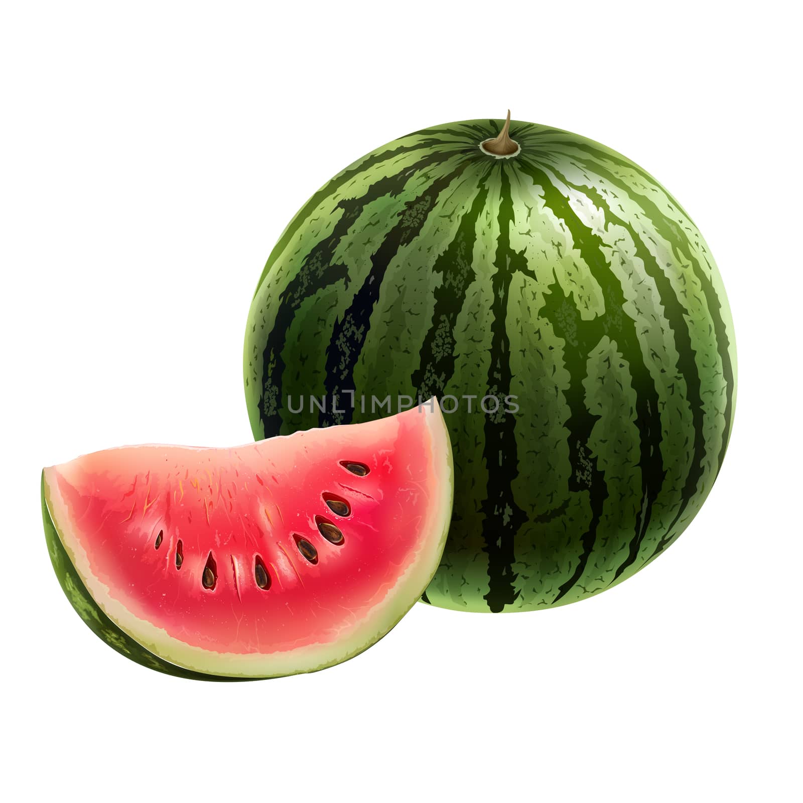 Watermelon on white background by ConceptCafe