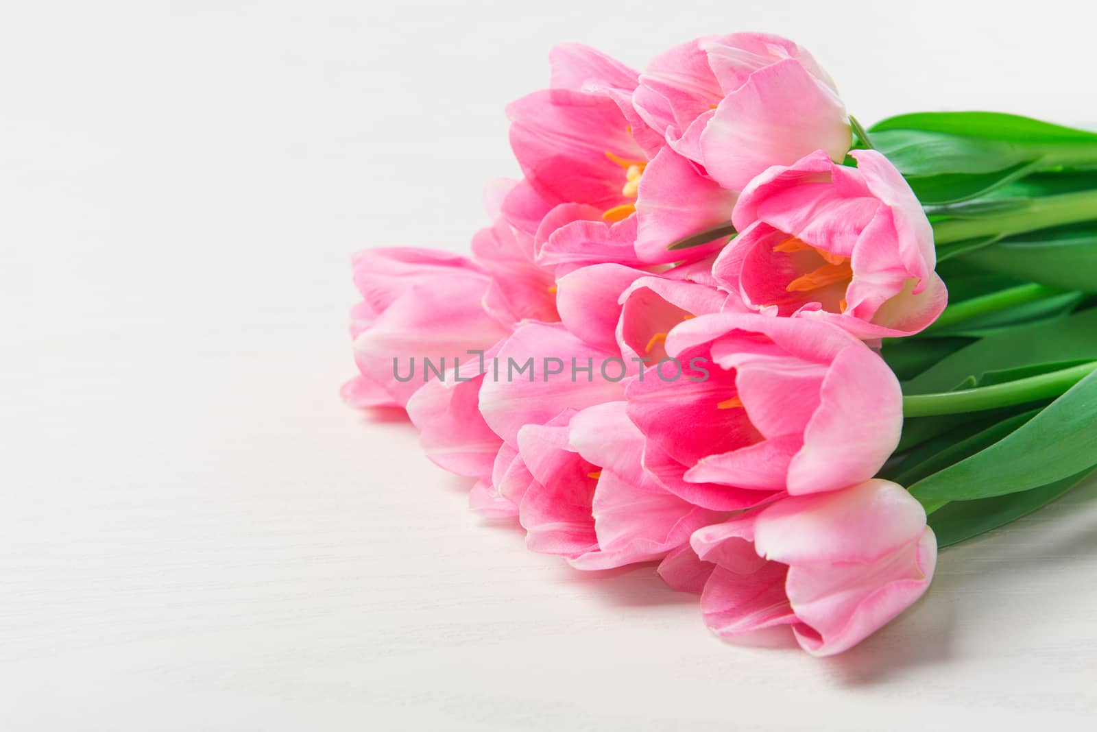 Beautiful Pink tulips flowers on white wooden background. by Draw05
