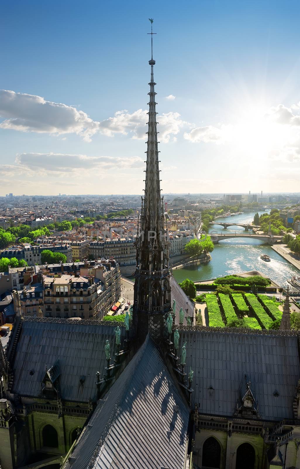 Spire of Notre Dame and aerial view of Paris, France