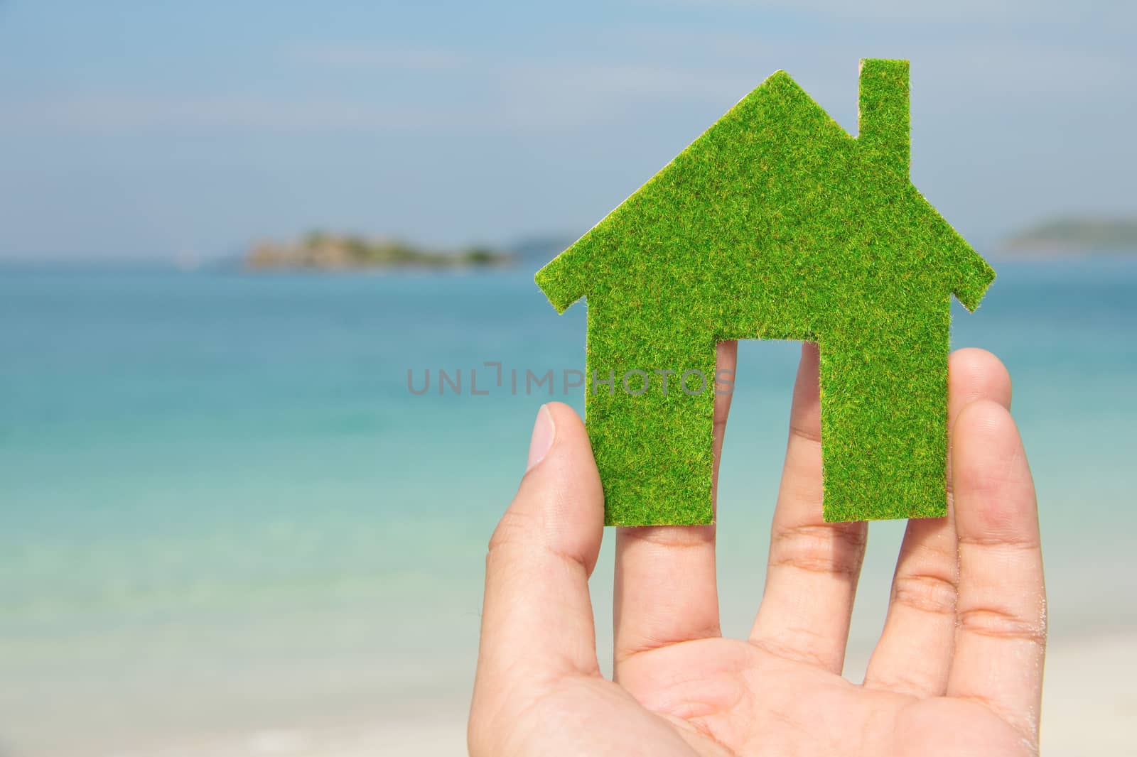 hand holding Eco house icon