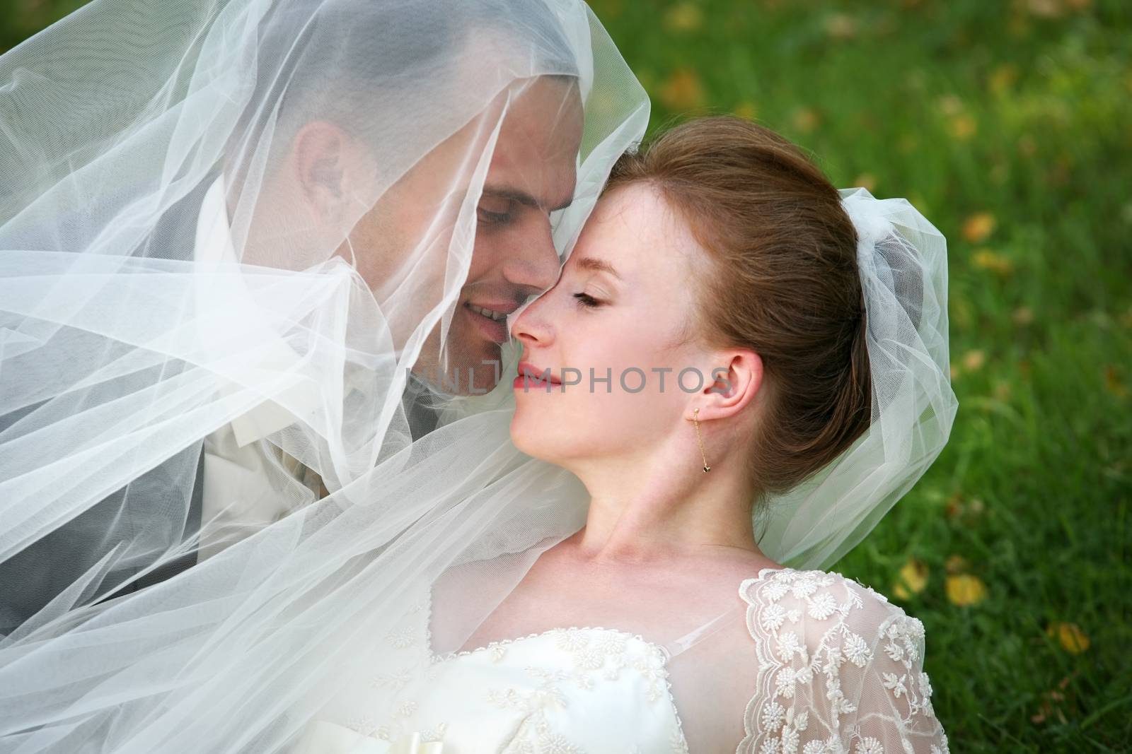 The groom and the bride kiss having closed by a veil