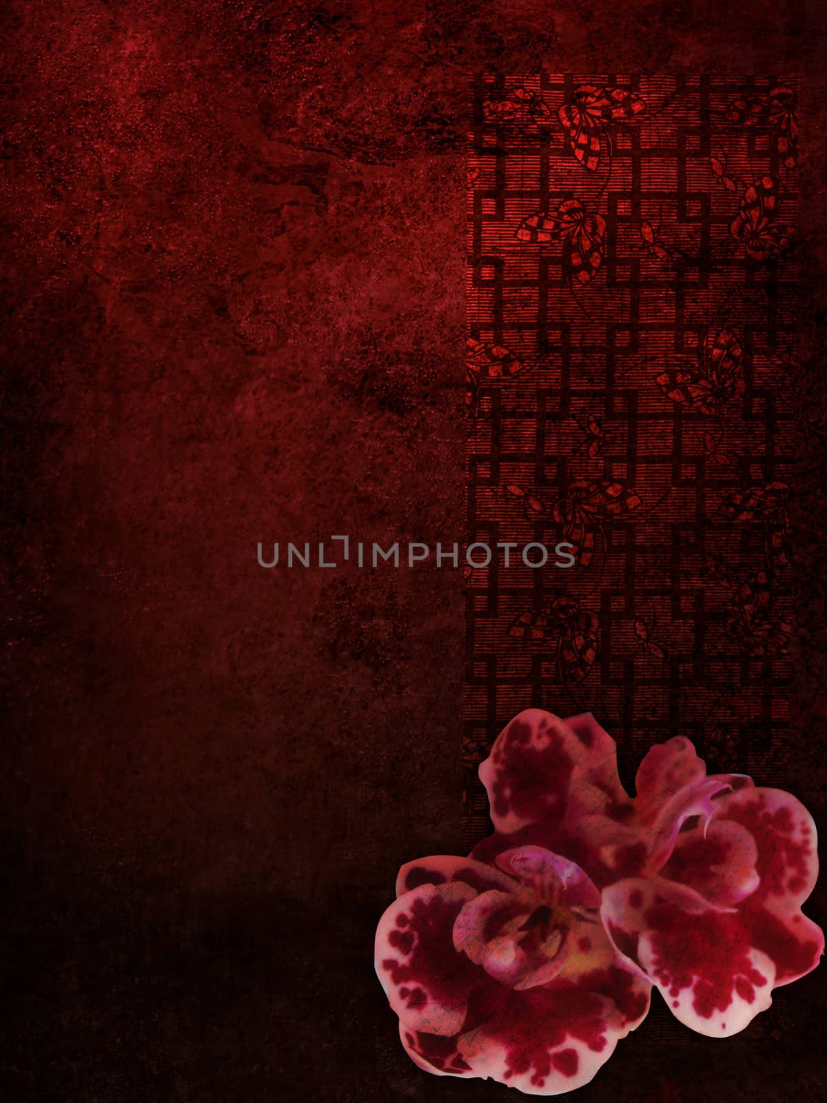 orchids, flowers, background by elena_vz