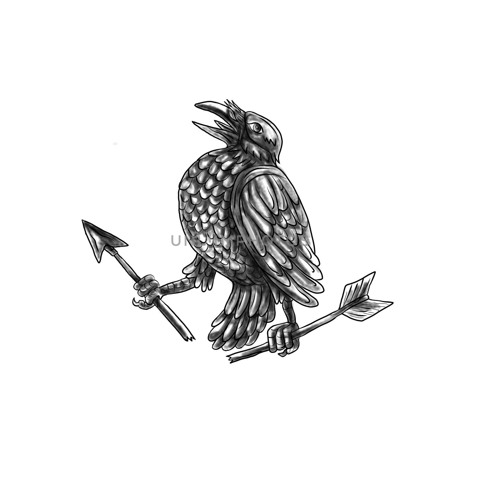 Tattoo style illustration of a crow looking up clutching a broken arrow viewed from the side set on isolated white background. 