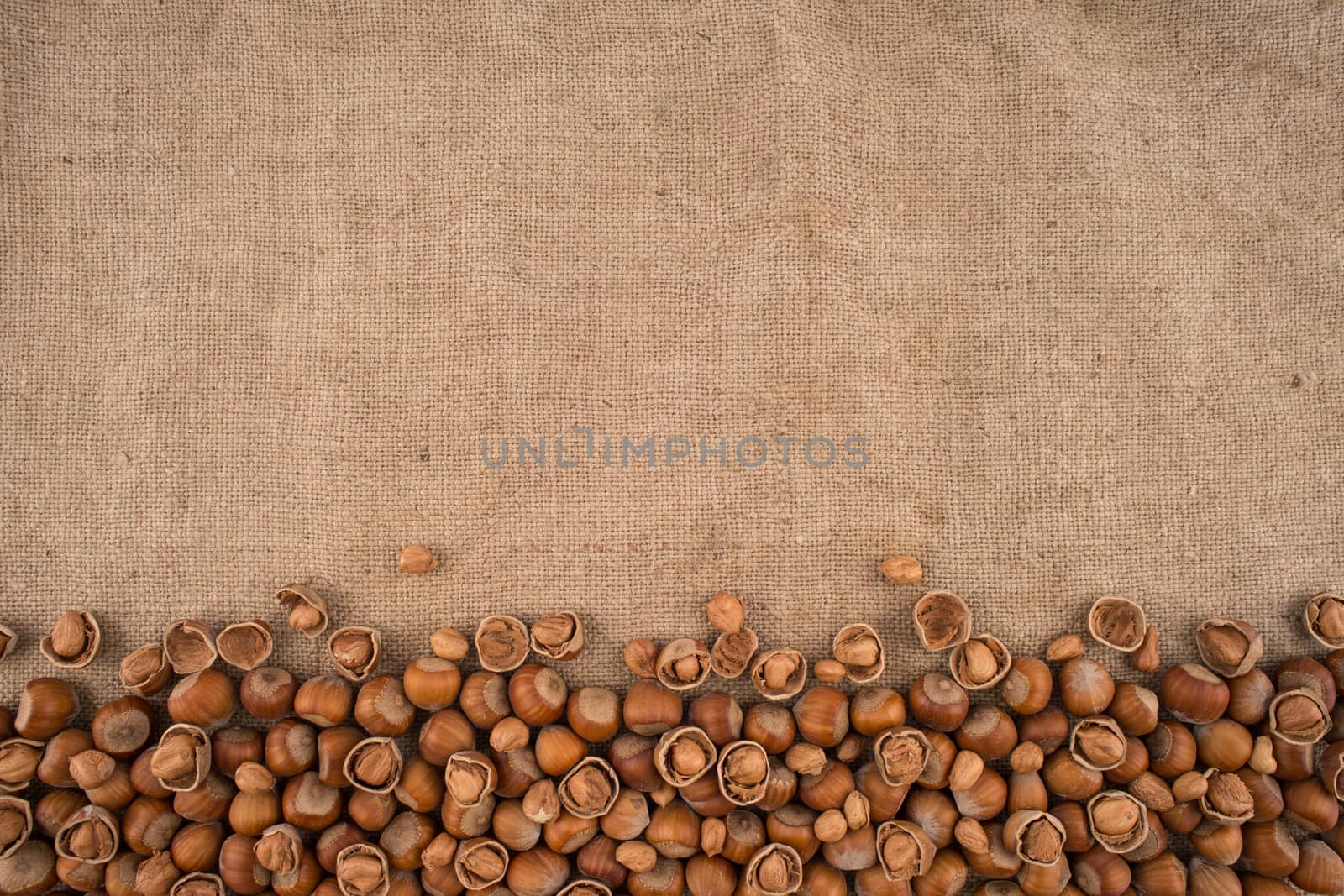 Natural, unbroken hazelnuts on a jute bag background.  by DGolbay