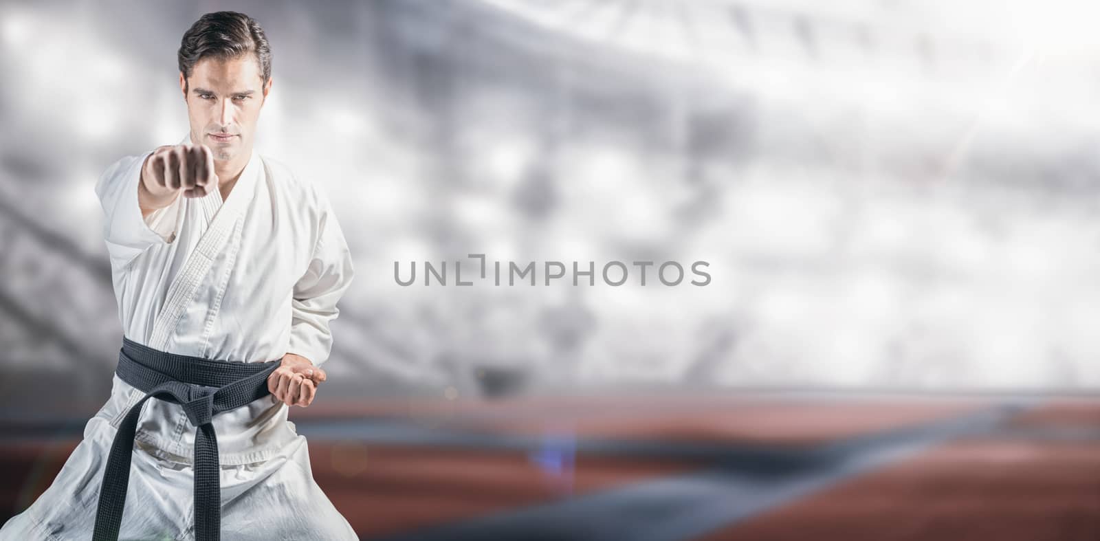 Portrait of fighter performing karate stance against composite image of american stadium