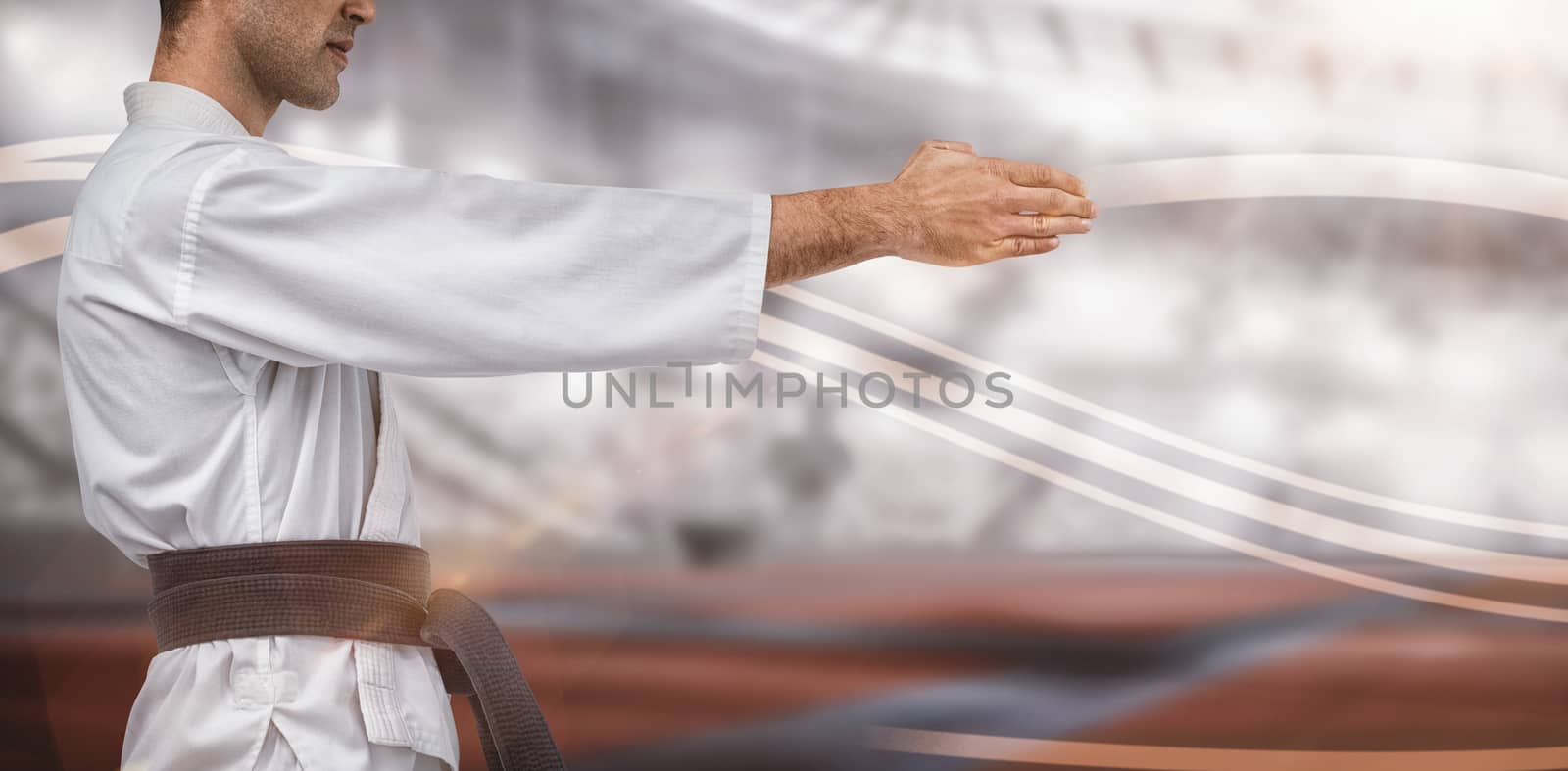 Composite image of mid section of fighter performing karate stance by Wavebreakmedia