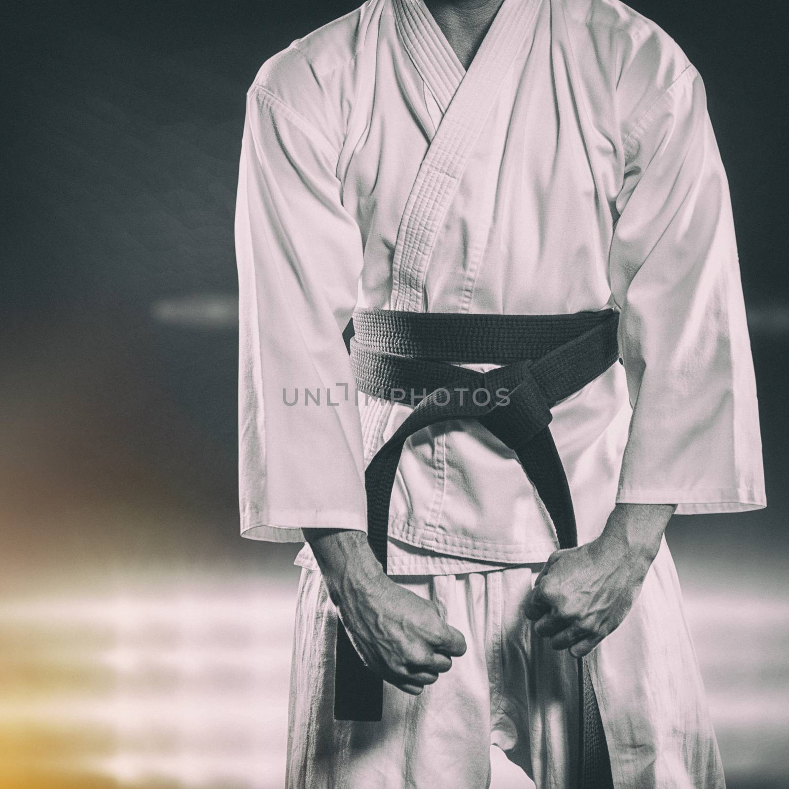 Fighter performing karate stance against spotlights
