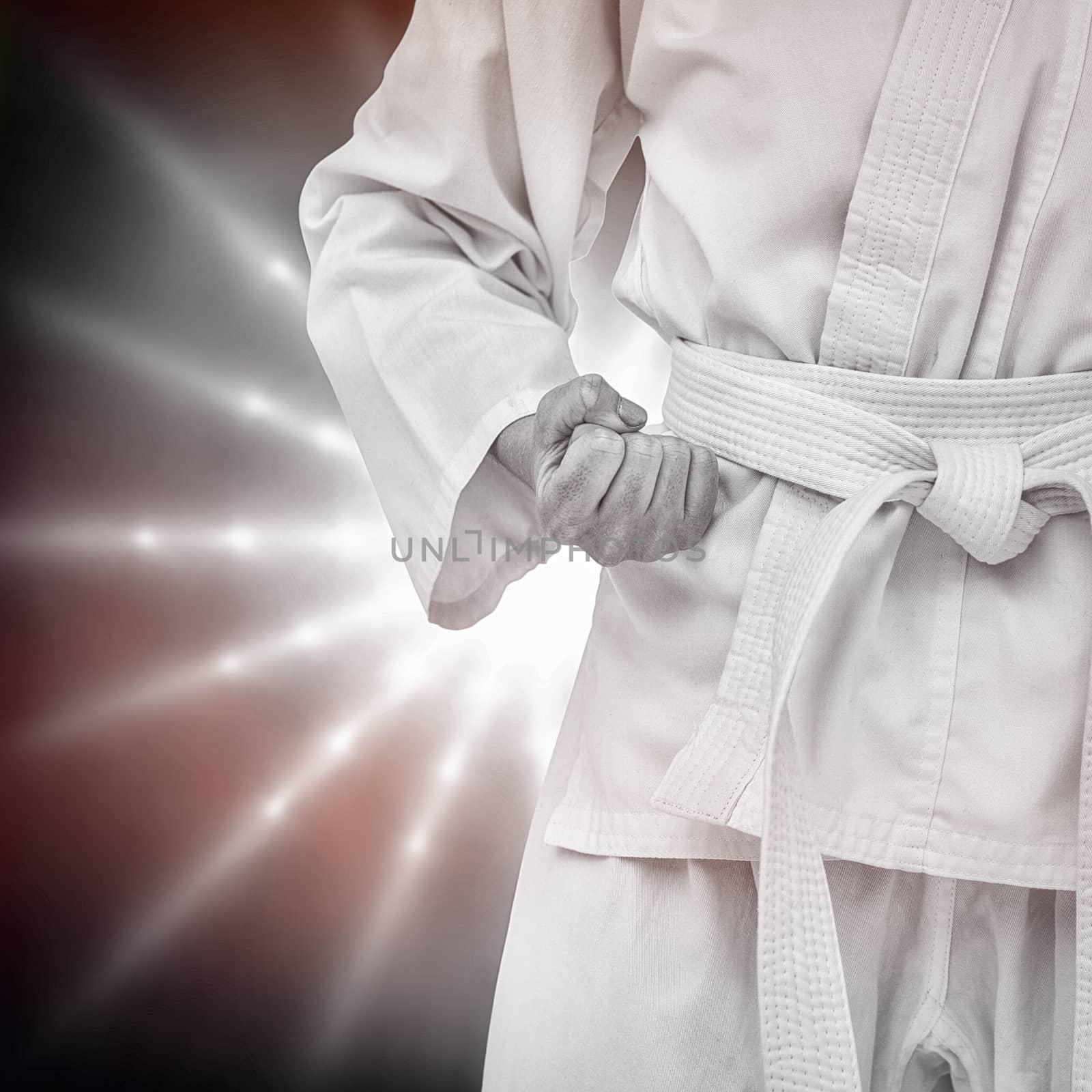 Fighter performing karate stance against spotlight