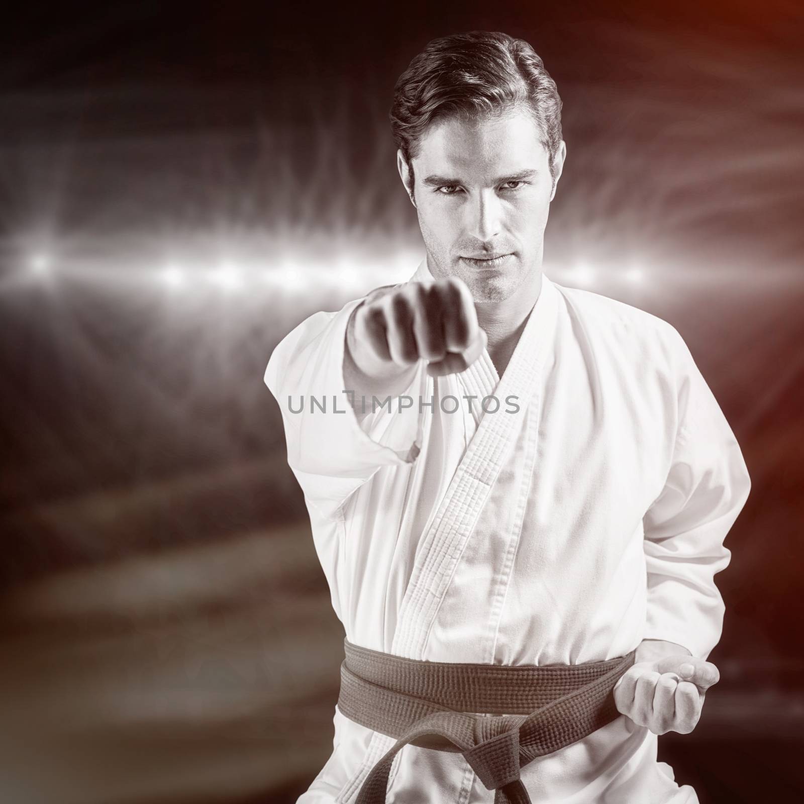 Portrait of fighter performing karate stance against spotlights