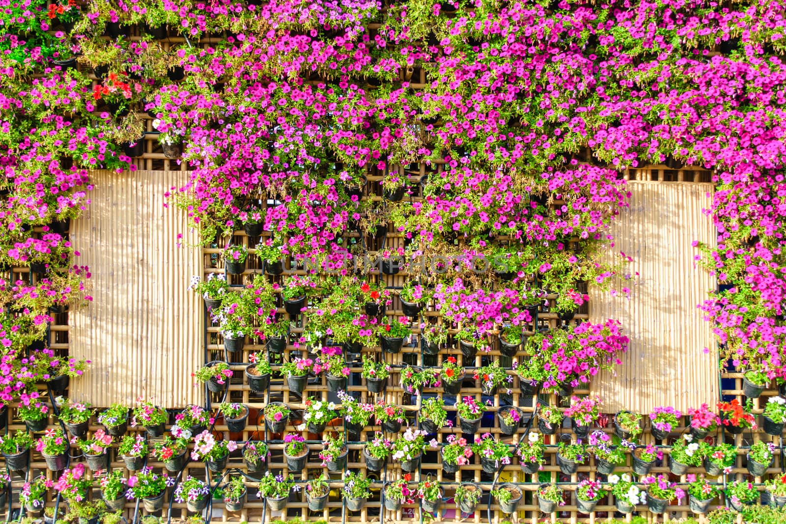 Beautiful vertical garden with plants on bamboo house