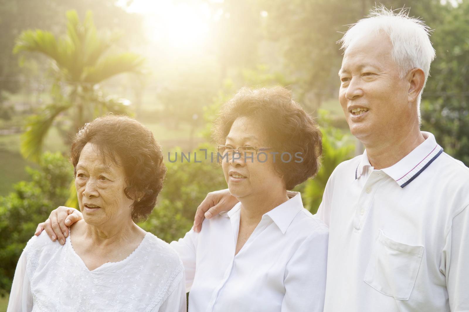 Group of healthy Asian seniors looking away at outdoor nature park, in morning beautiful sunlight at background.