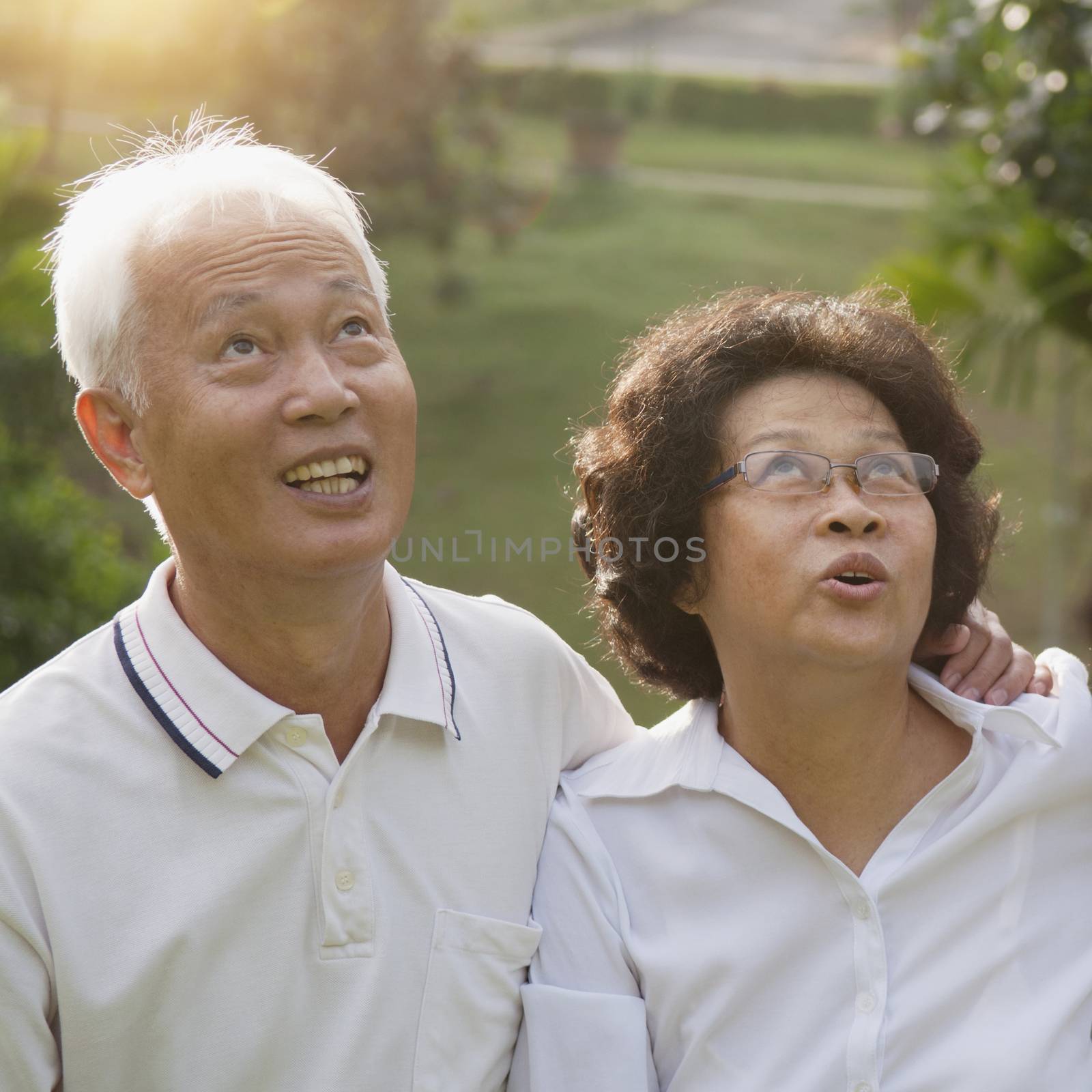 Portrait of healthy Asian seniors retiree couple looking up at outdoor nature park, morning beautiful sunlight background.