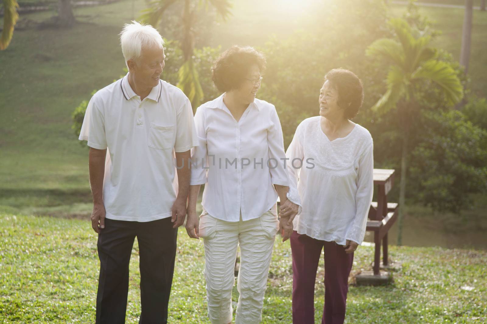 Group of healthy Asian seniors retiree walking at outdoor nature park, in morning beautiful sunlight at background.