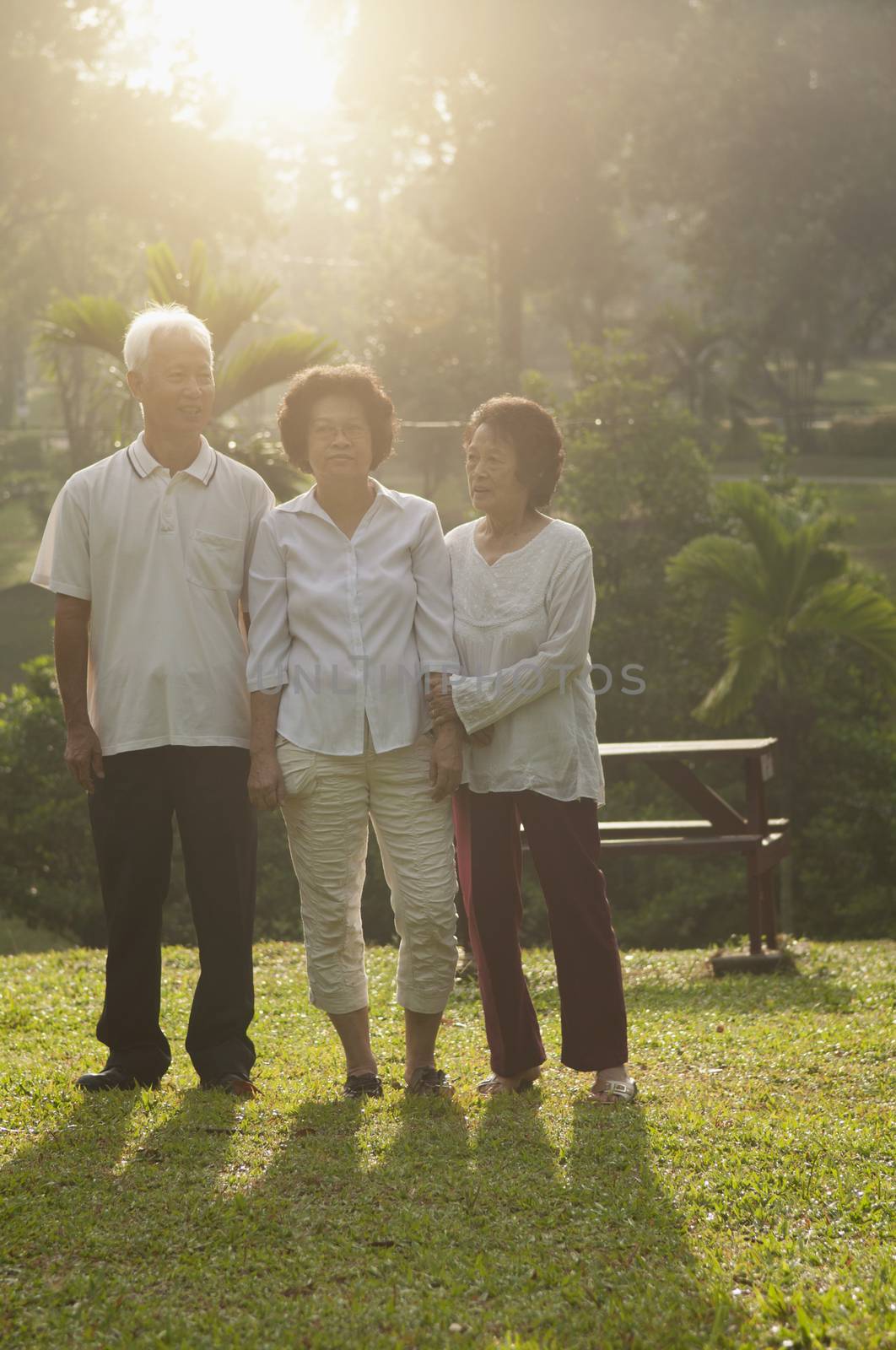 Group portrait of healthy Asian seniors retiree walking at outdoor nature park, in morning beautiful sunlight at background.