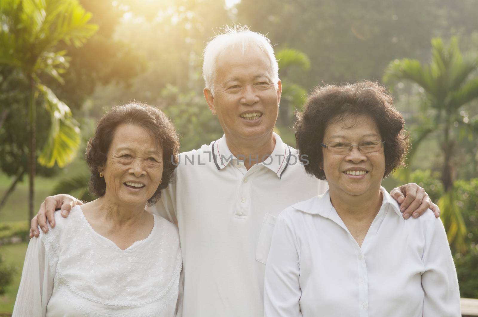 Group of healthy happy Asian seniors celebrating friendship at outdoor nature park, in morning beautiful sunlight at background.