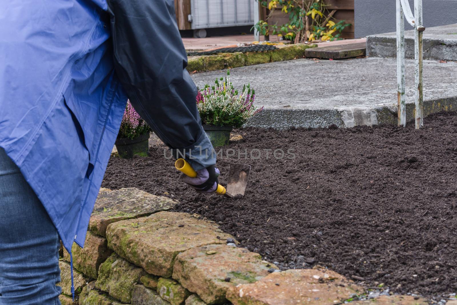 Woman with gloves and gardening tools when planting a flowerbed in autumn. Concept Gardening is healthy.