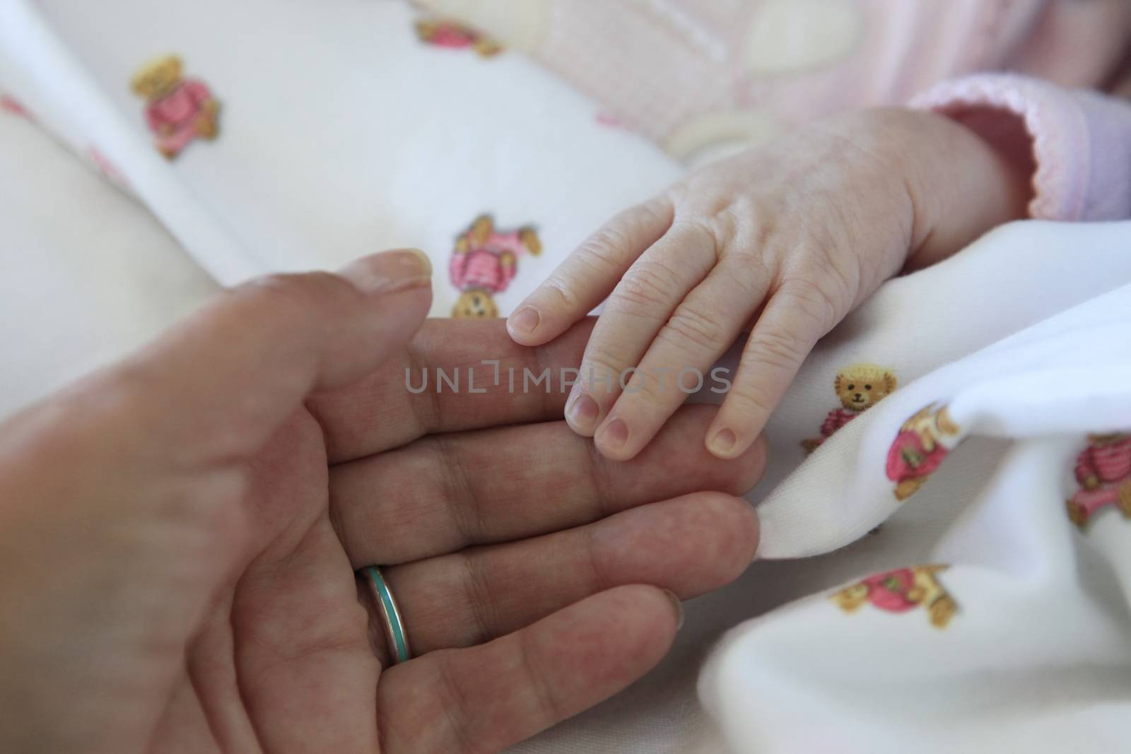 The image of hands of parent and the child