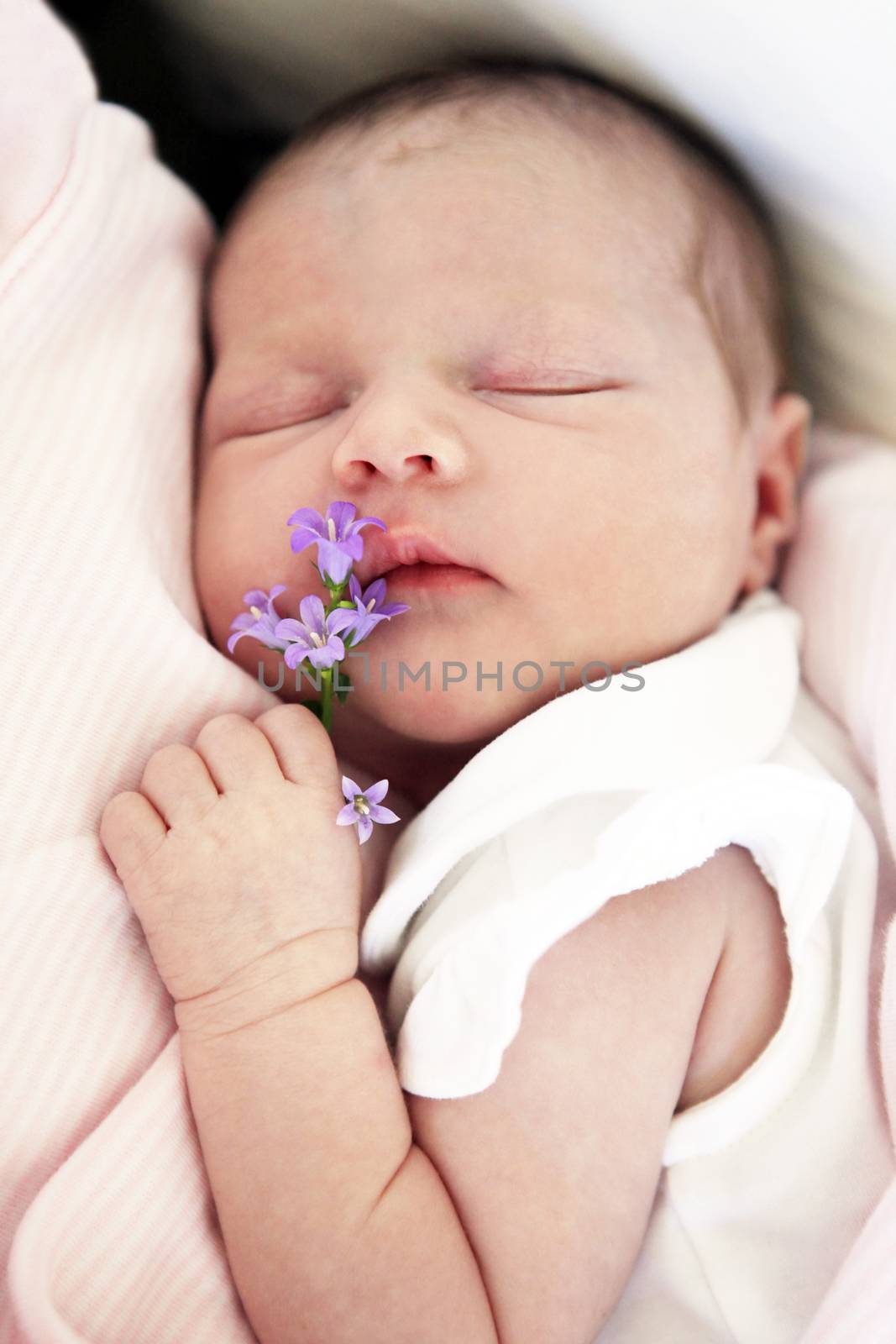 Sleeping newborn baby with flower