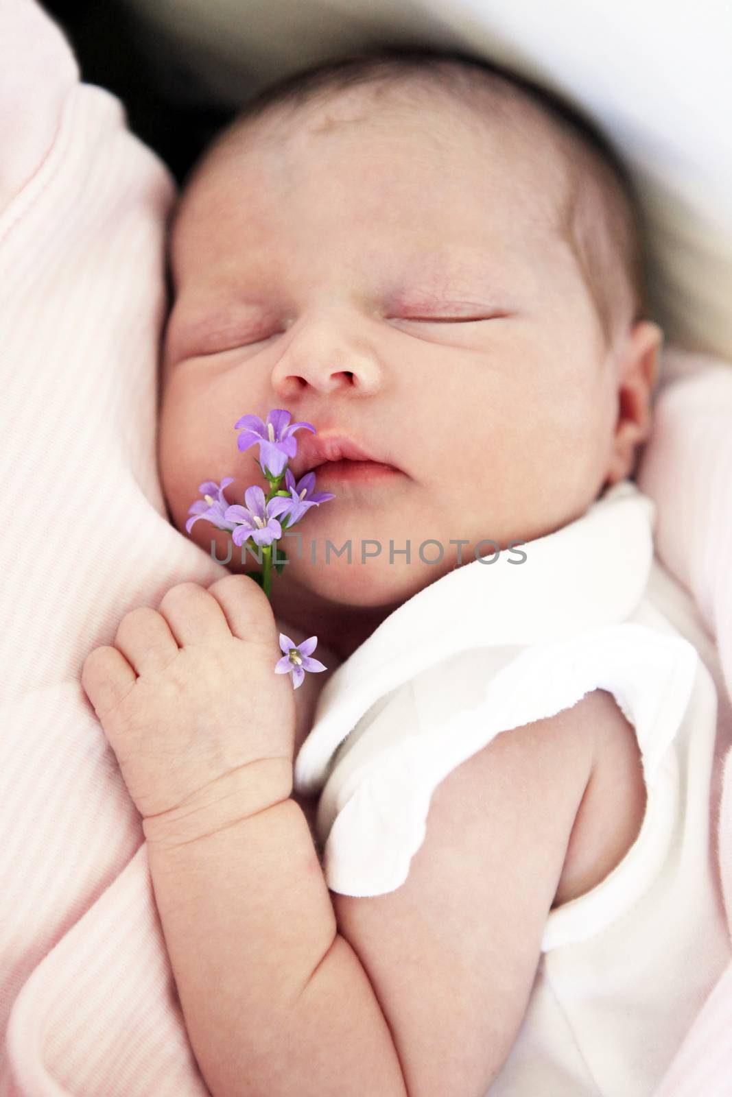 Sleeping newborn baby by friday