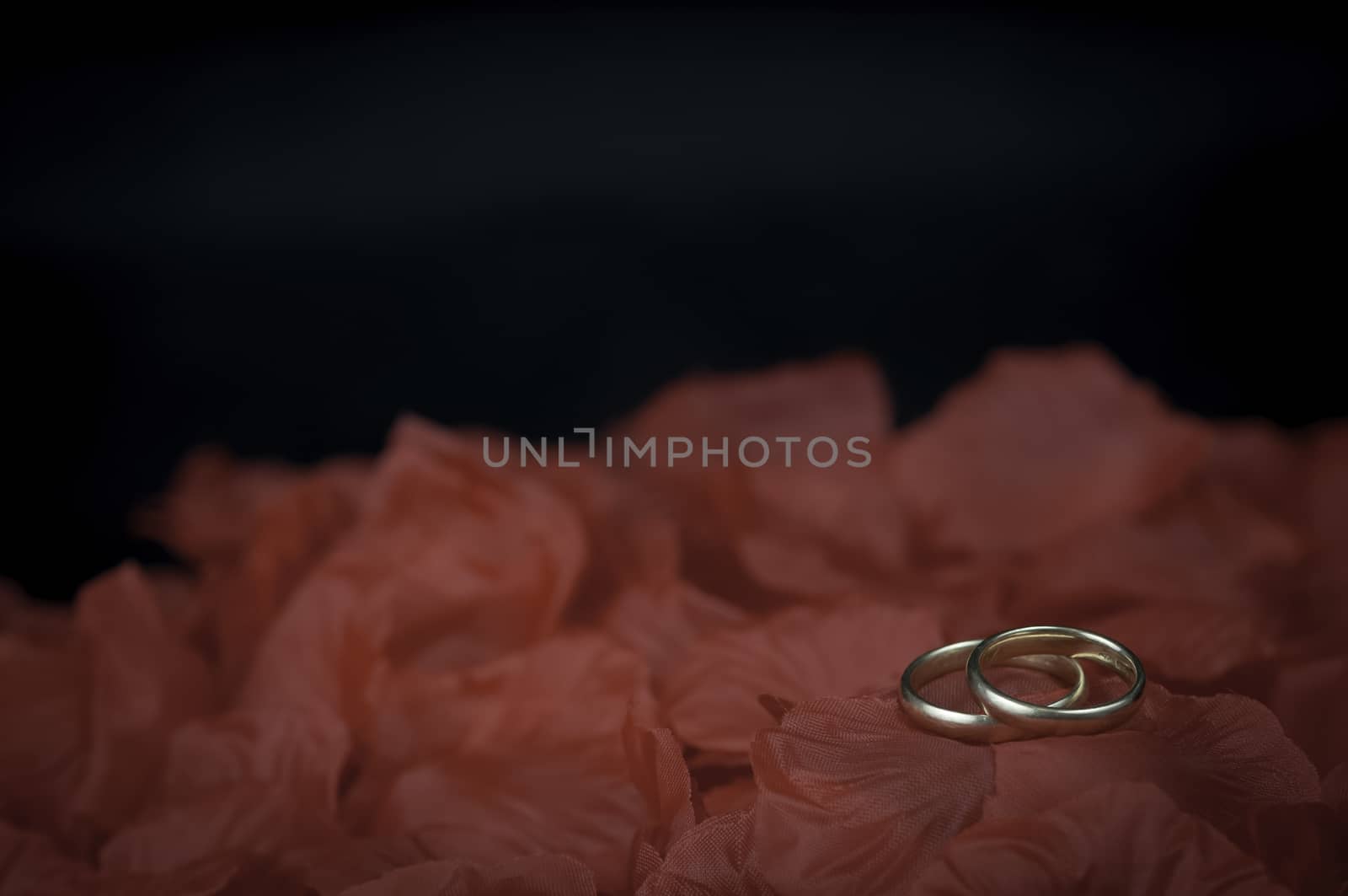 Two wedding rings on red rose petals and black background