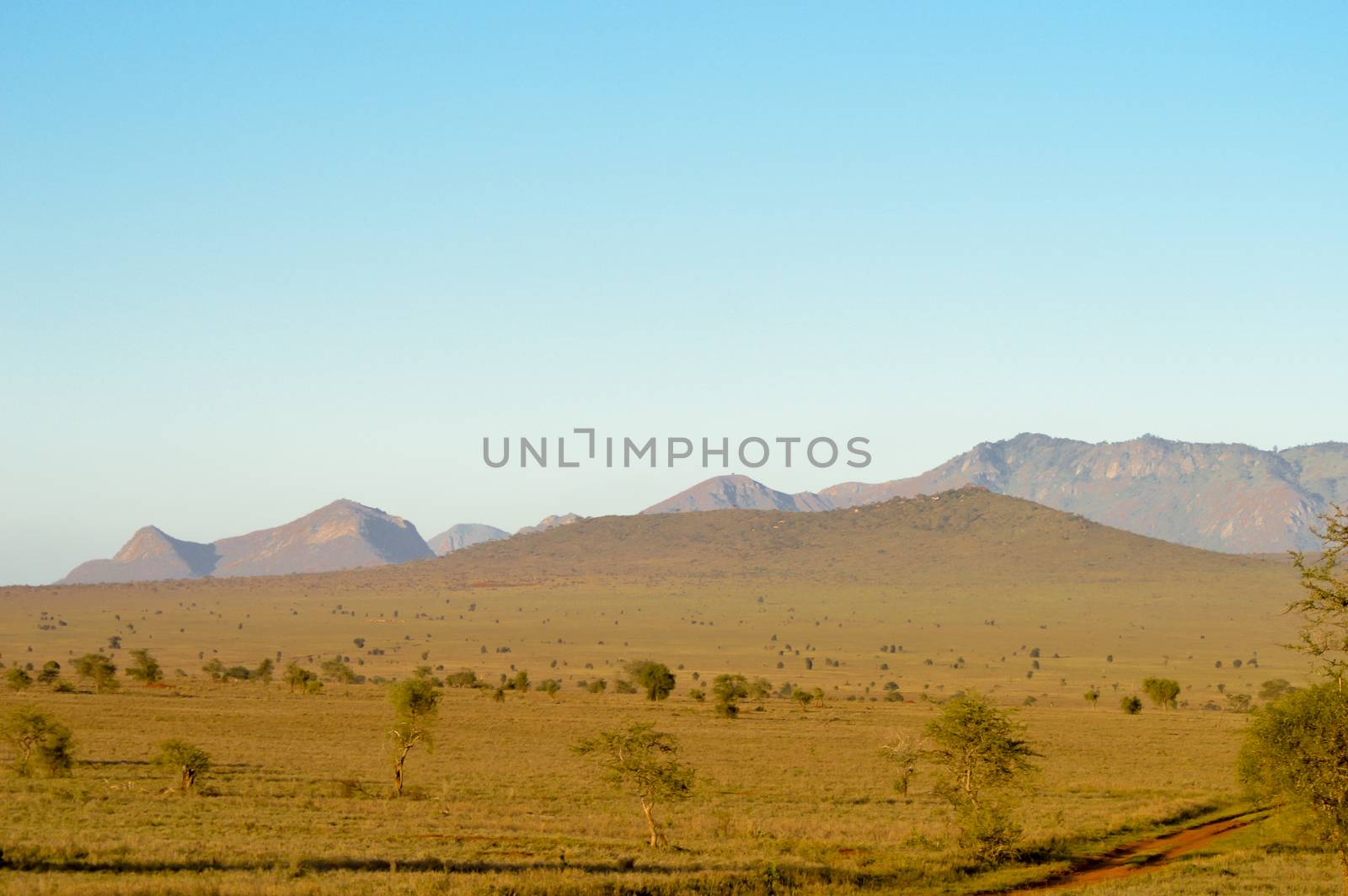 View of the Tsavo East savannah in Kenya with the mountains in the background