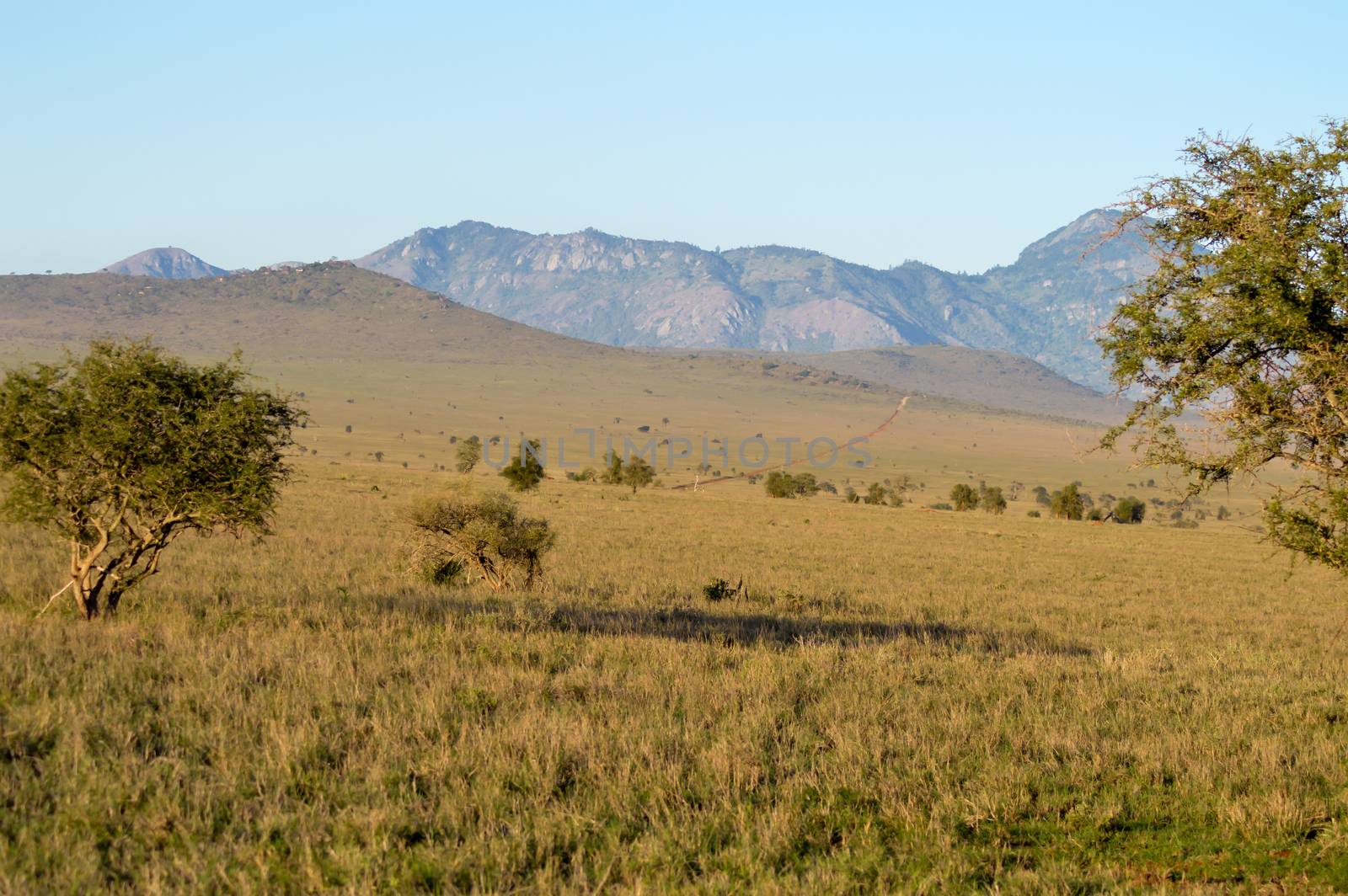 View of the Tsavo East savannah in Kenya with the mountains in the background