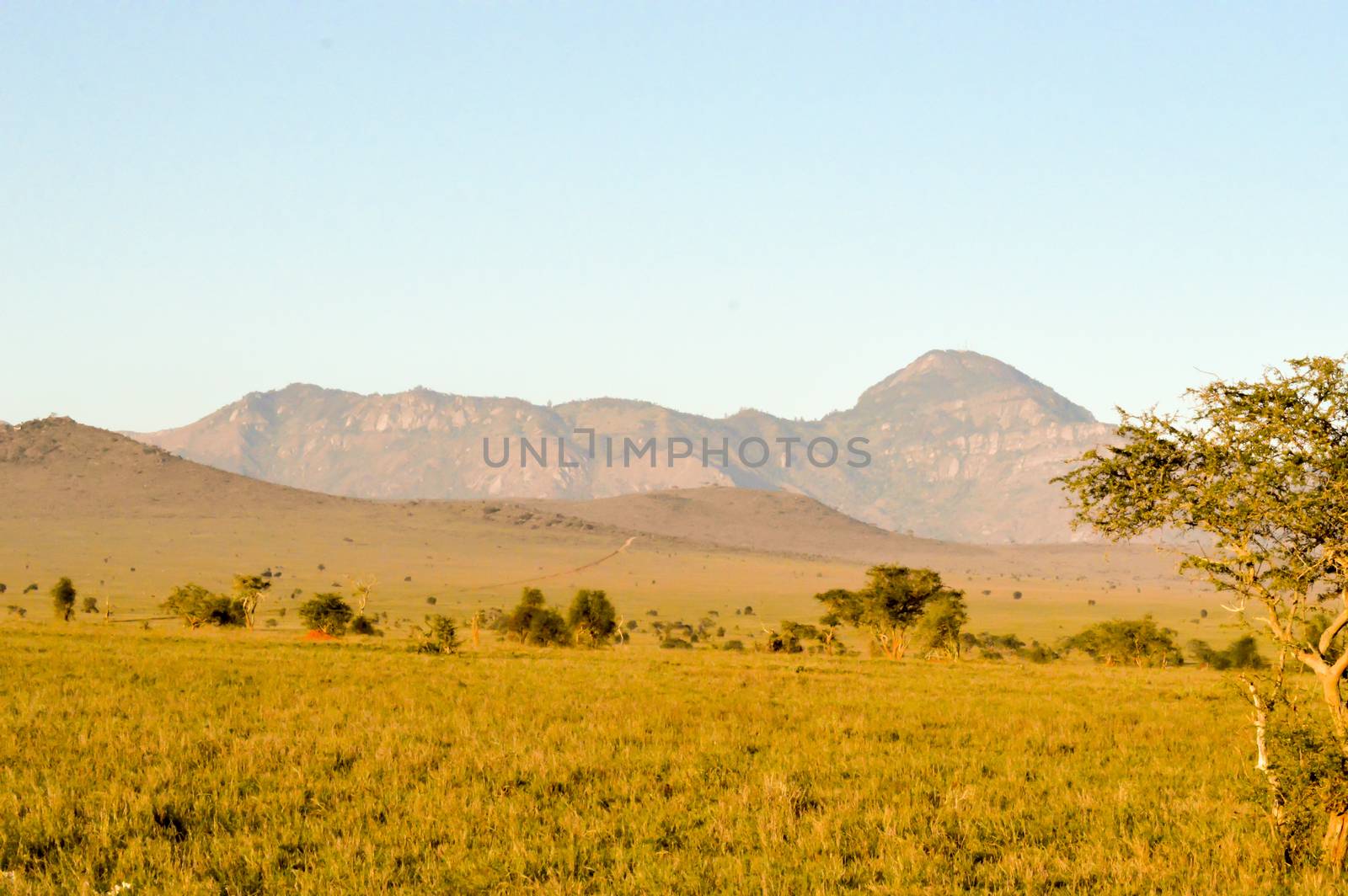 View of the Tsavo East savannah in Kenya with the mountains in the background