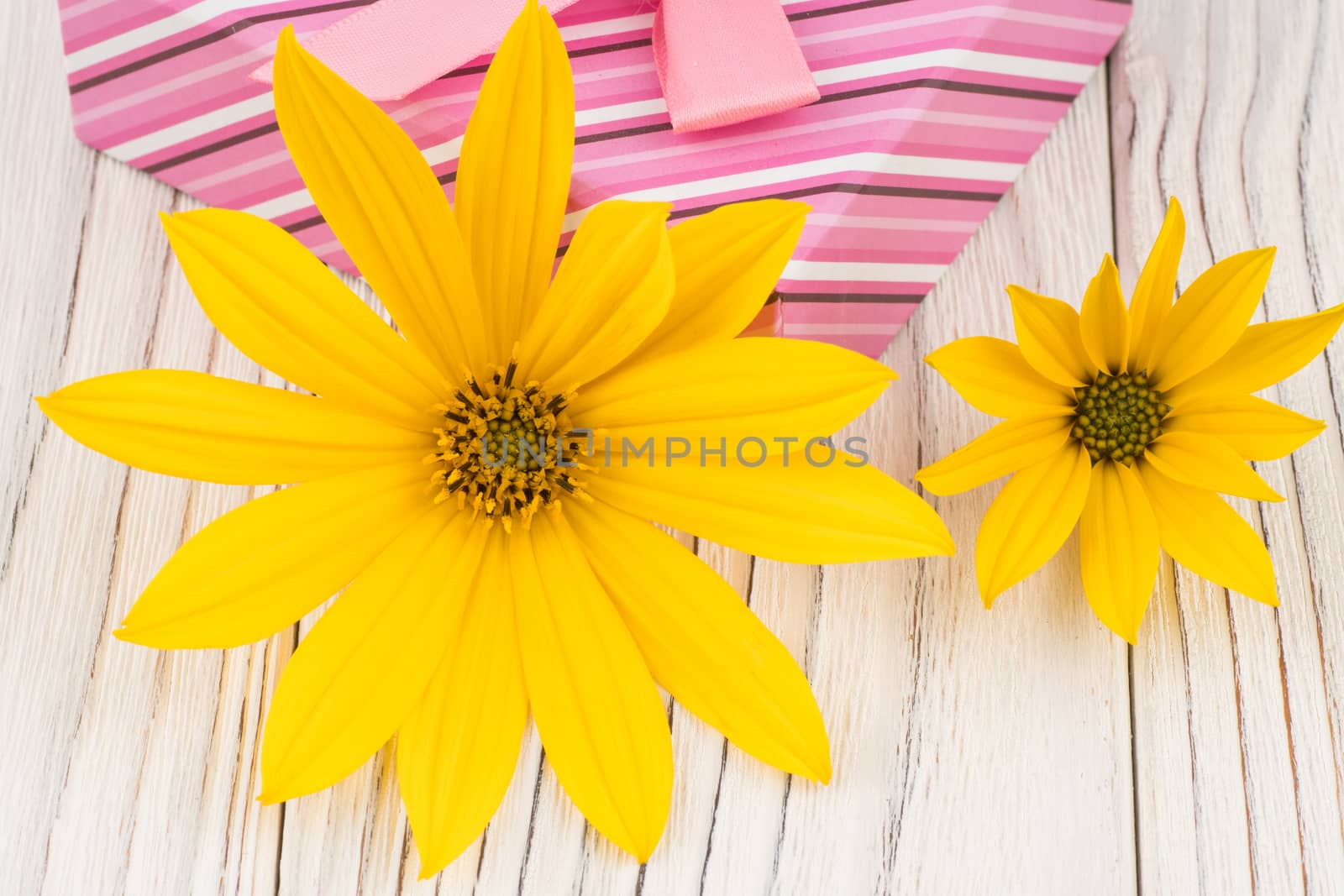 Wild flowers in a watering can with a gift box on a wooden table by DGolbay