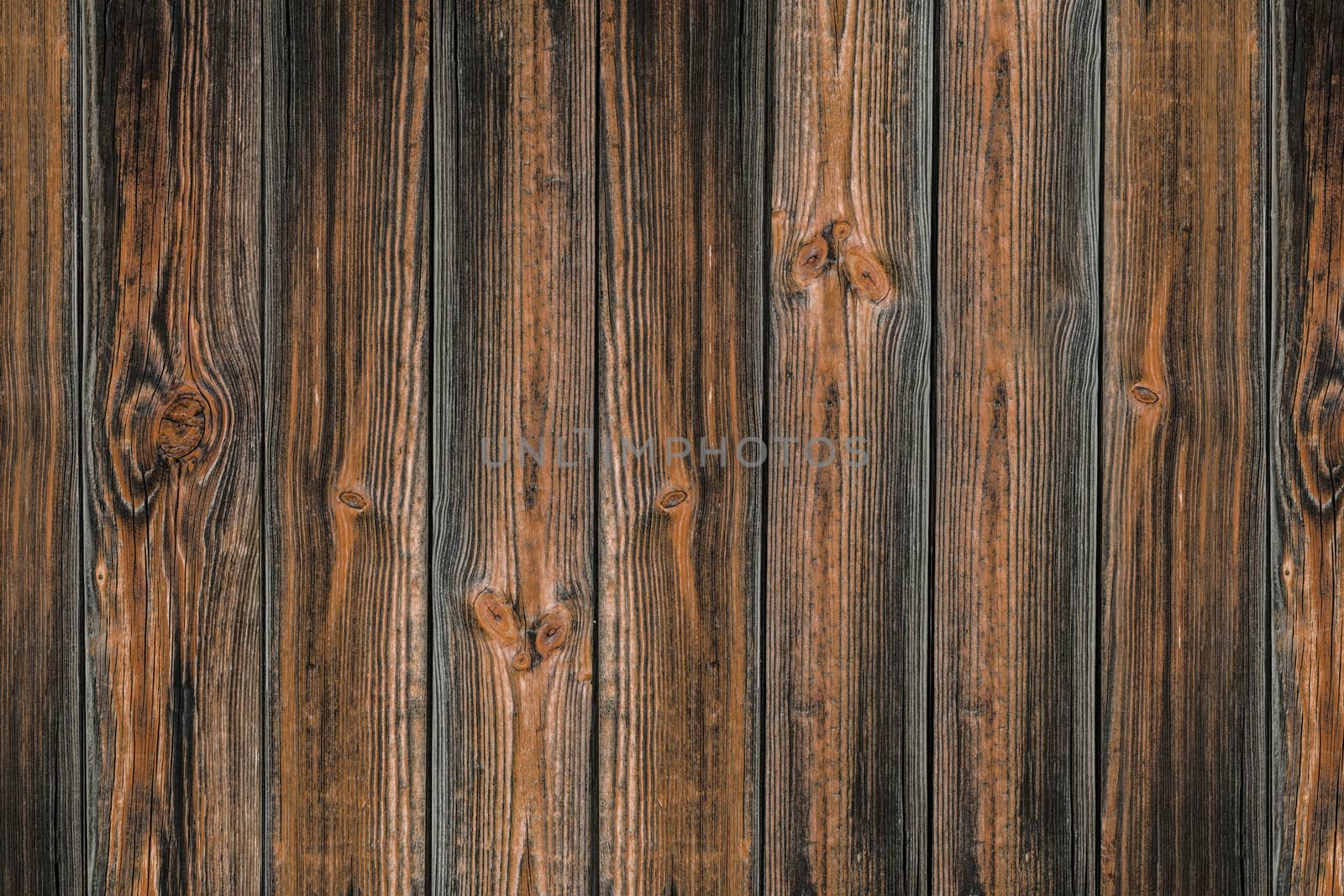 Wood texture. background old panels.  by DGolbay